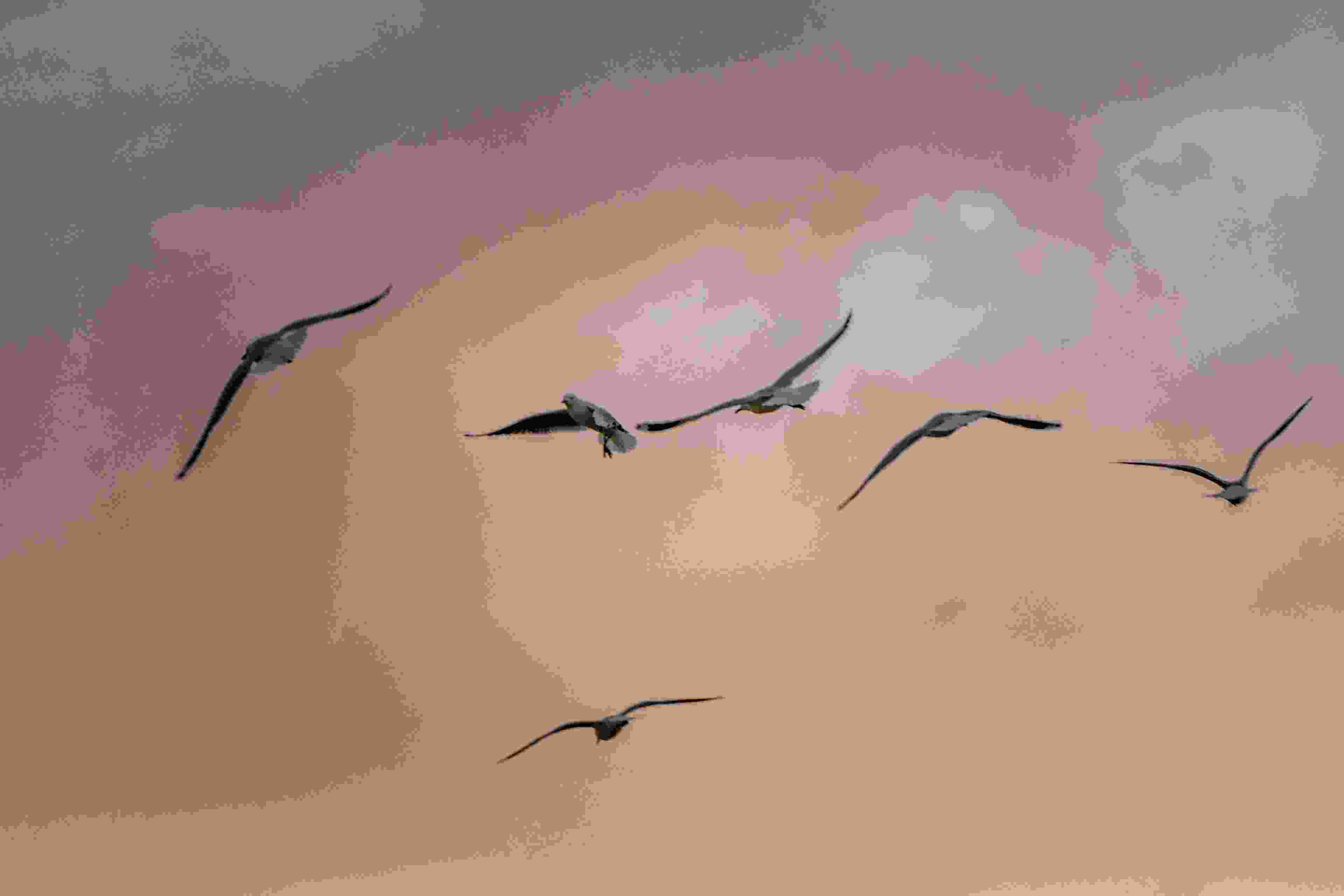 Migration base de données WordPress OVH (CloudDB saturée).jpeg