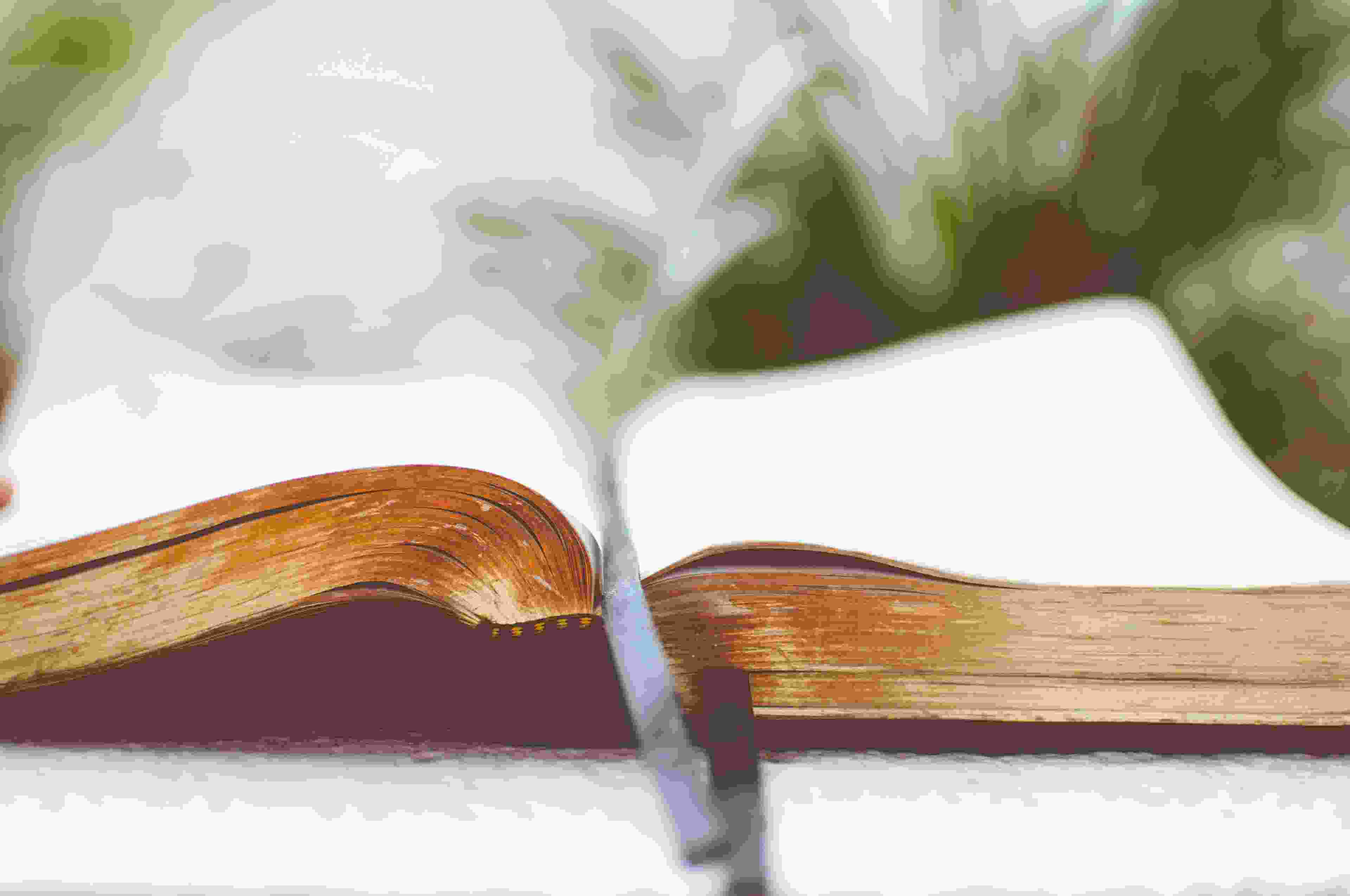 Image de couverture de l'article de blog