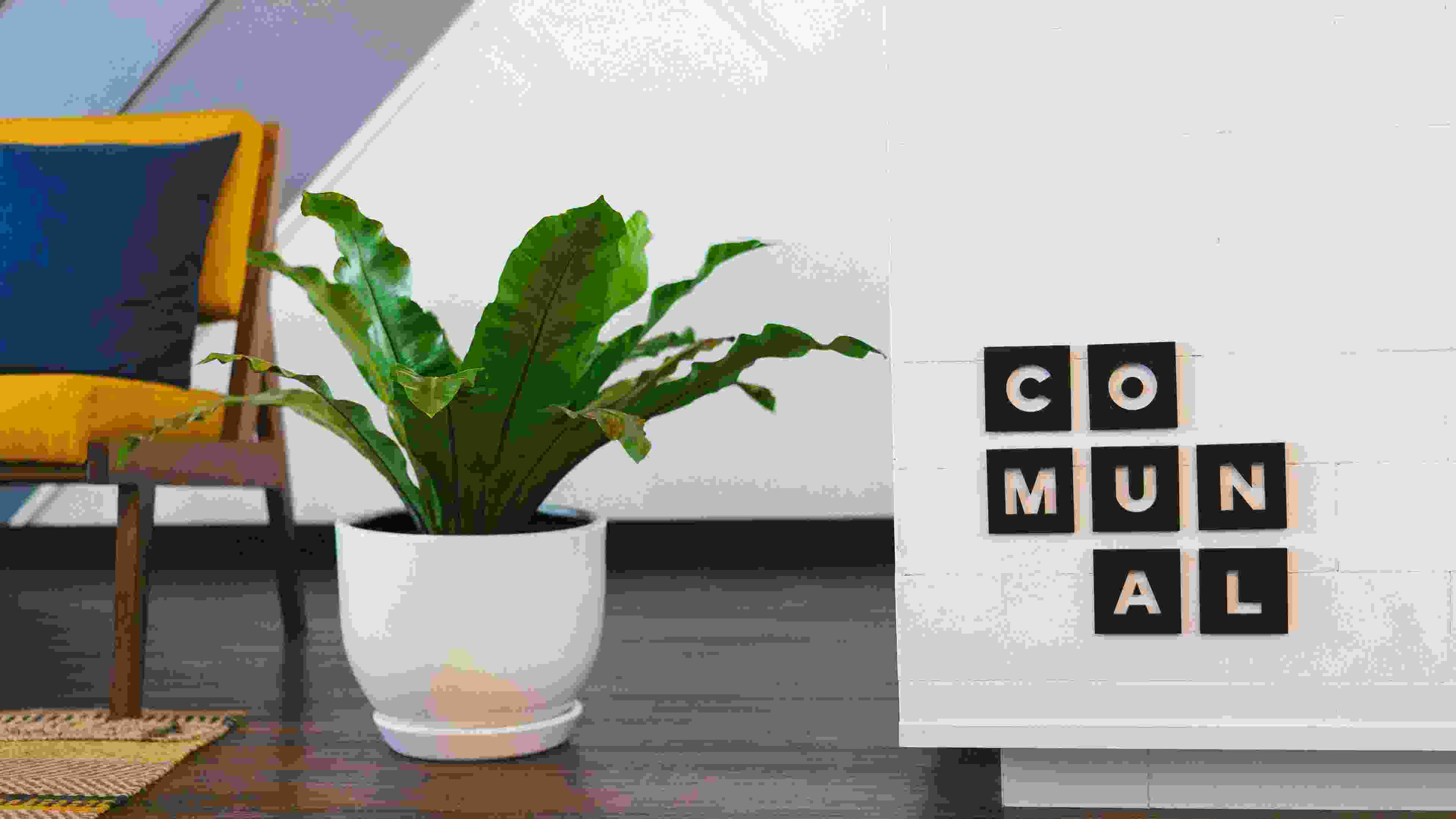 Image de couverture de l'article de blog