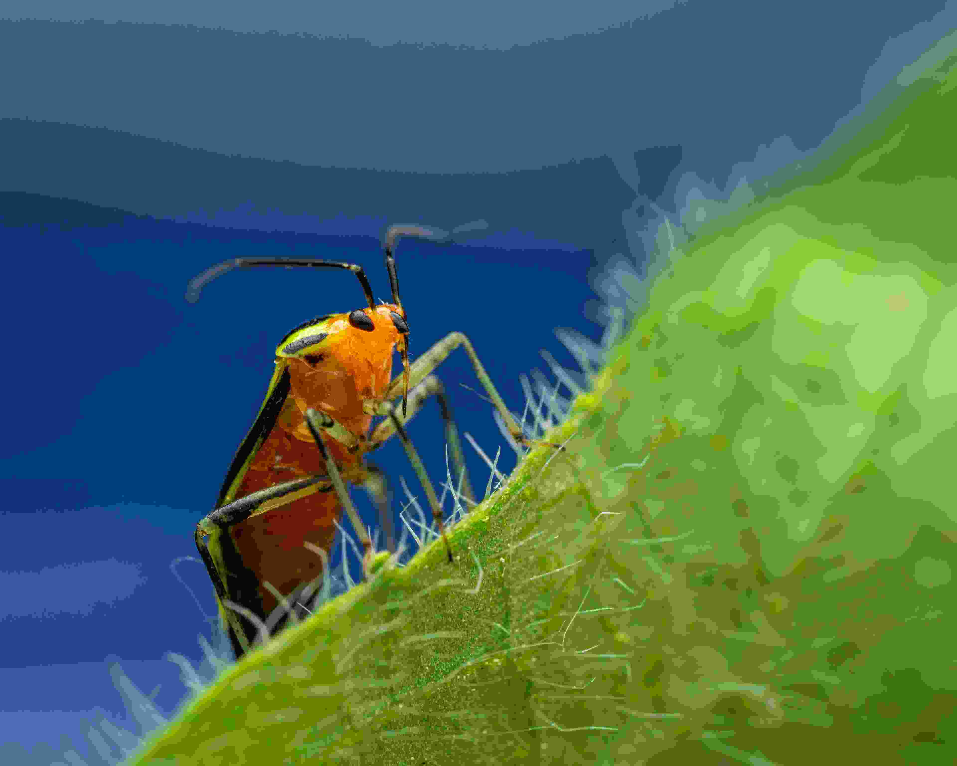 Image de couverture de l'article de blog