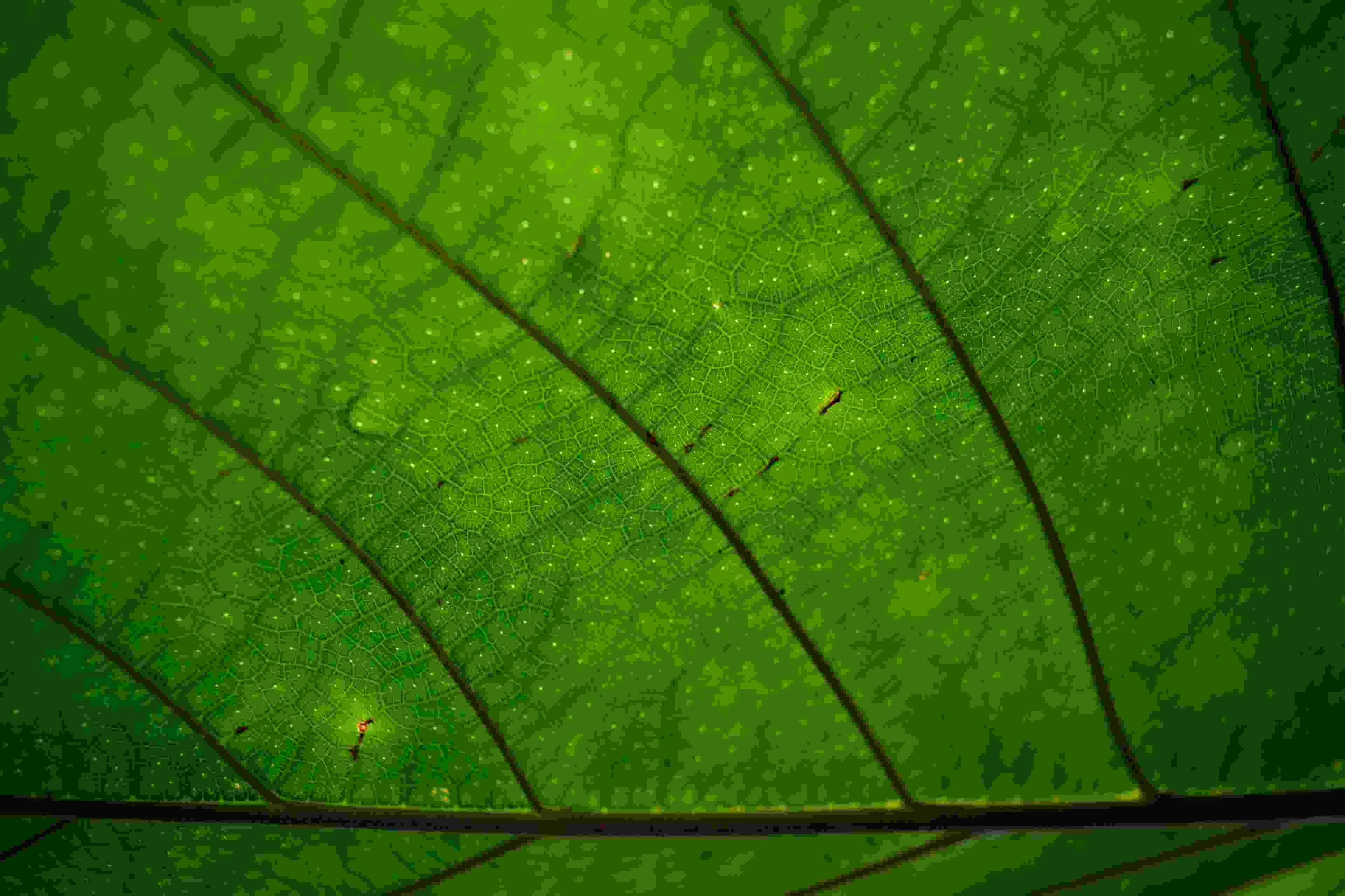 Boutique en ligne spécialisée dans la vente de produits éco-responsabl.jpeg