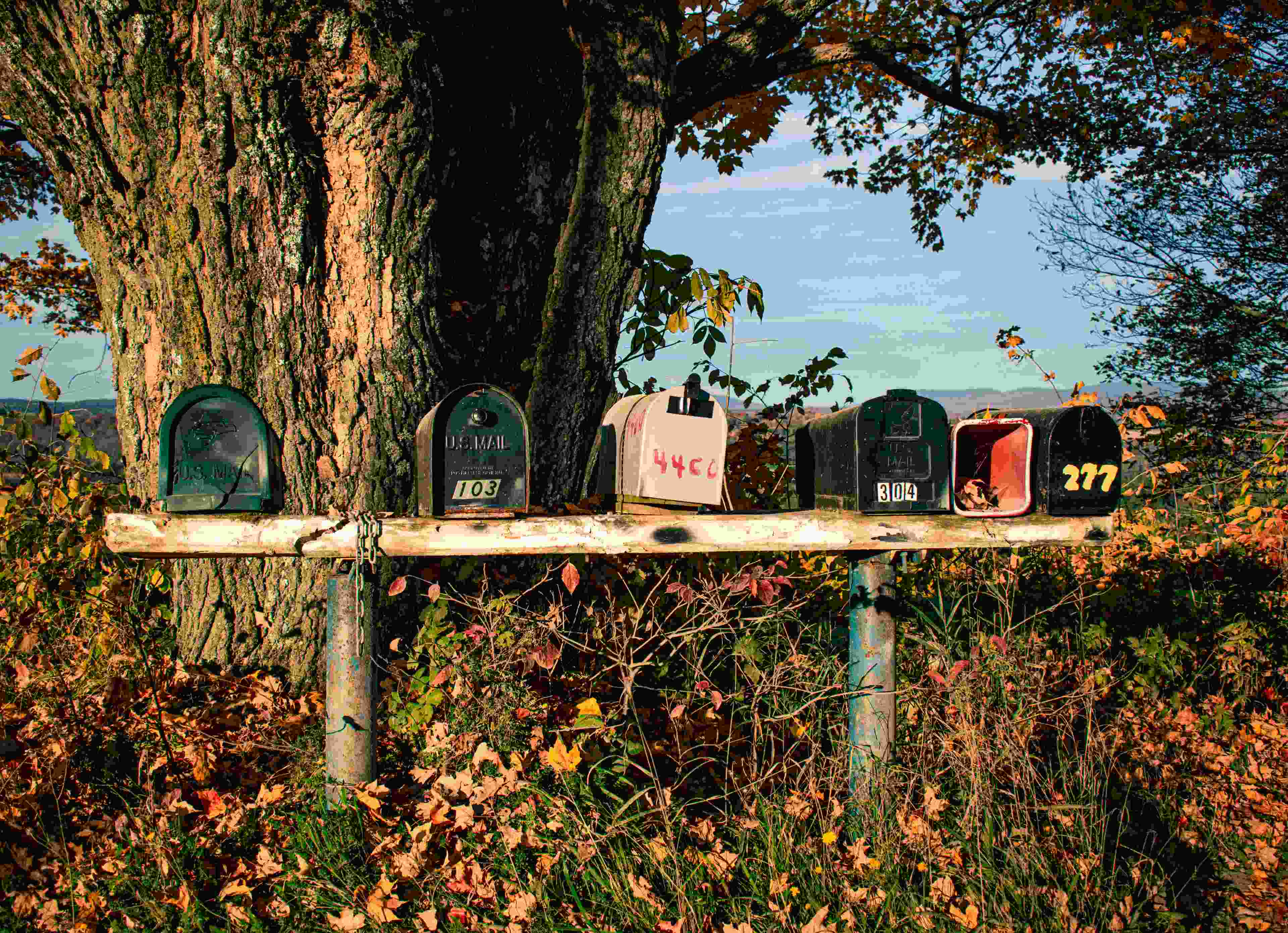 Image de couverture de l'article de blog