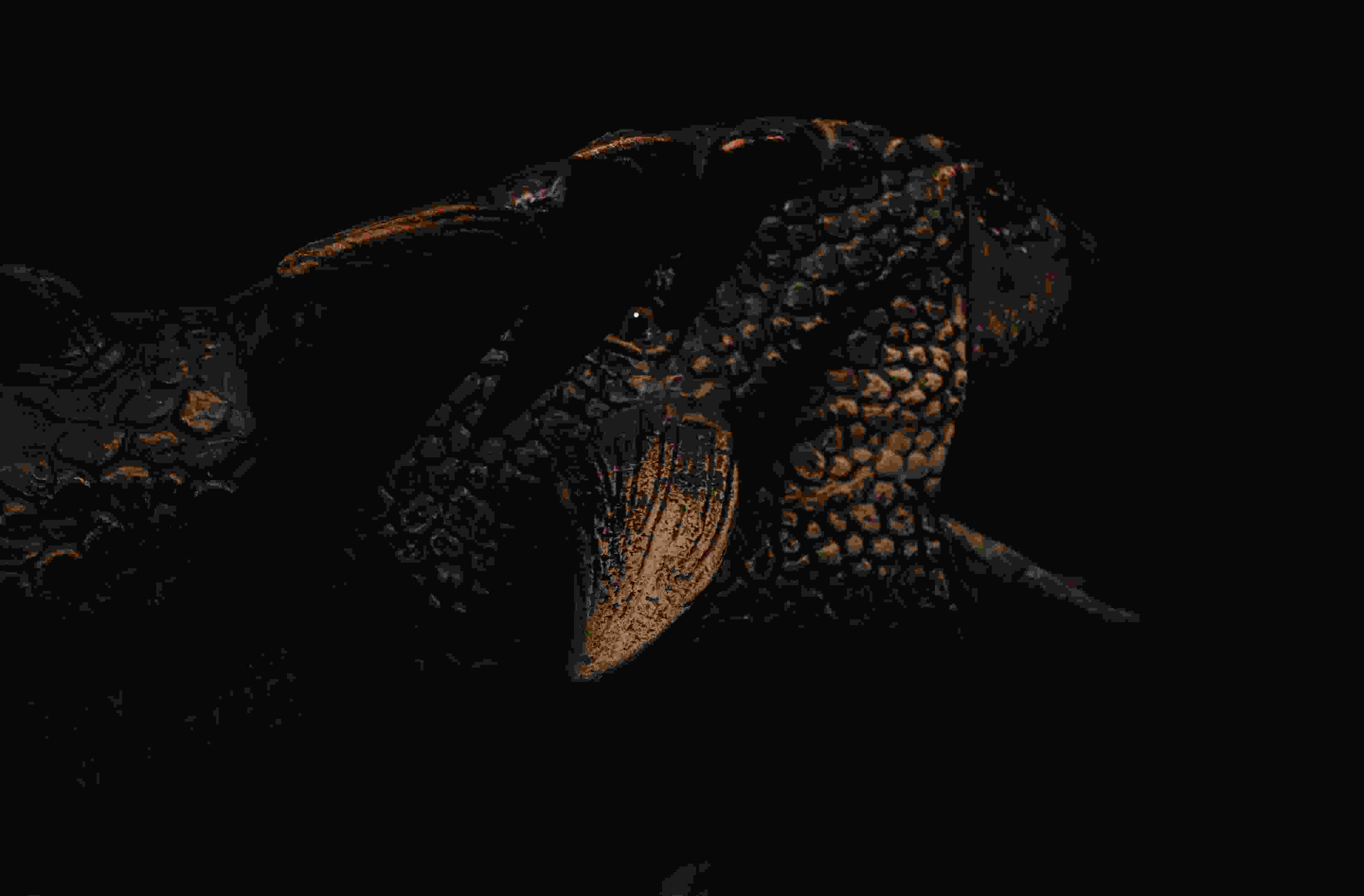 Image de couverture de l'article de blog