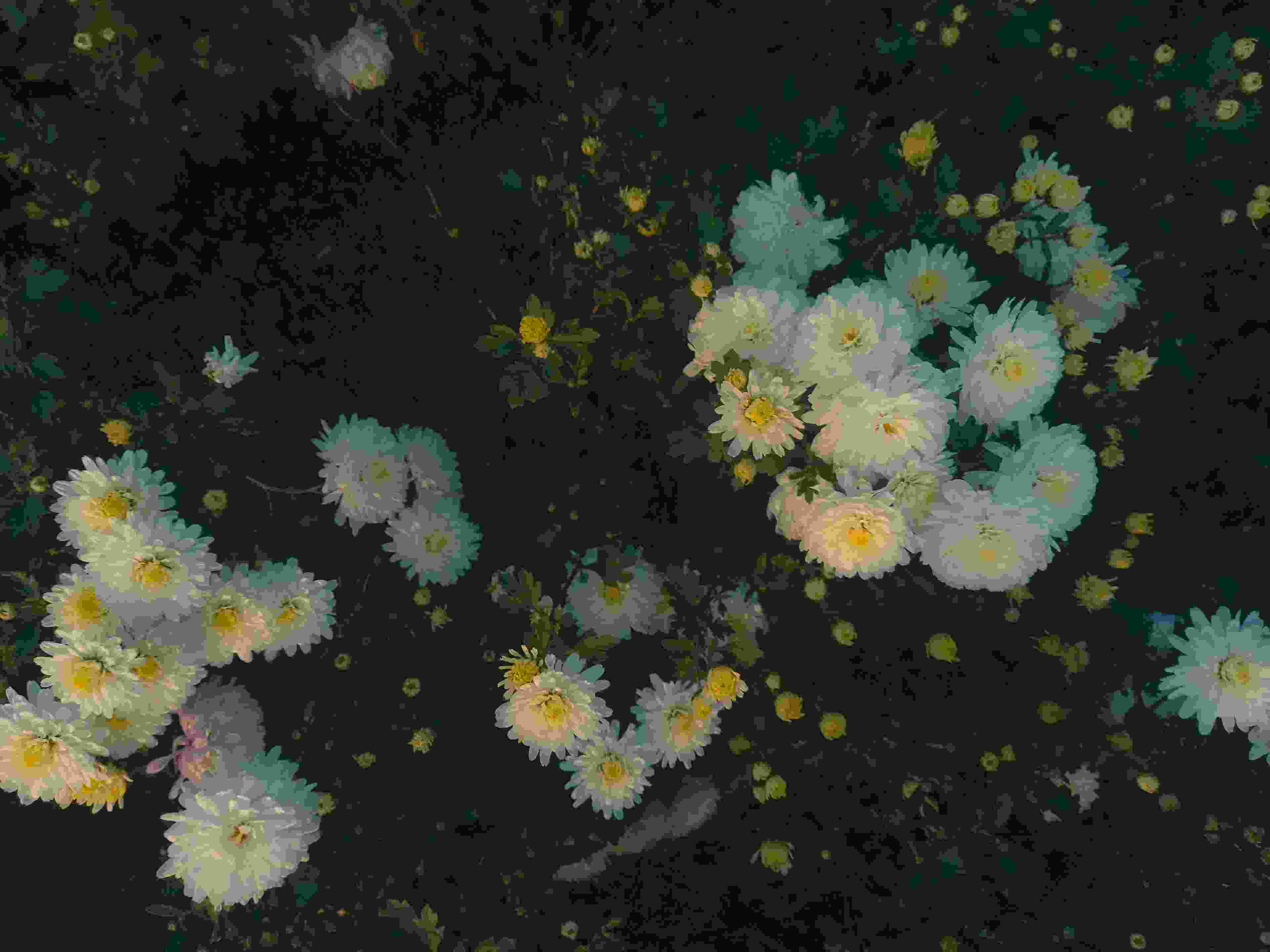 Transformer une page excel en pdf dynamique.jpeg