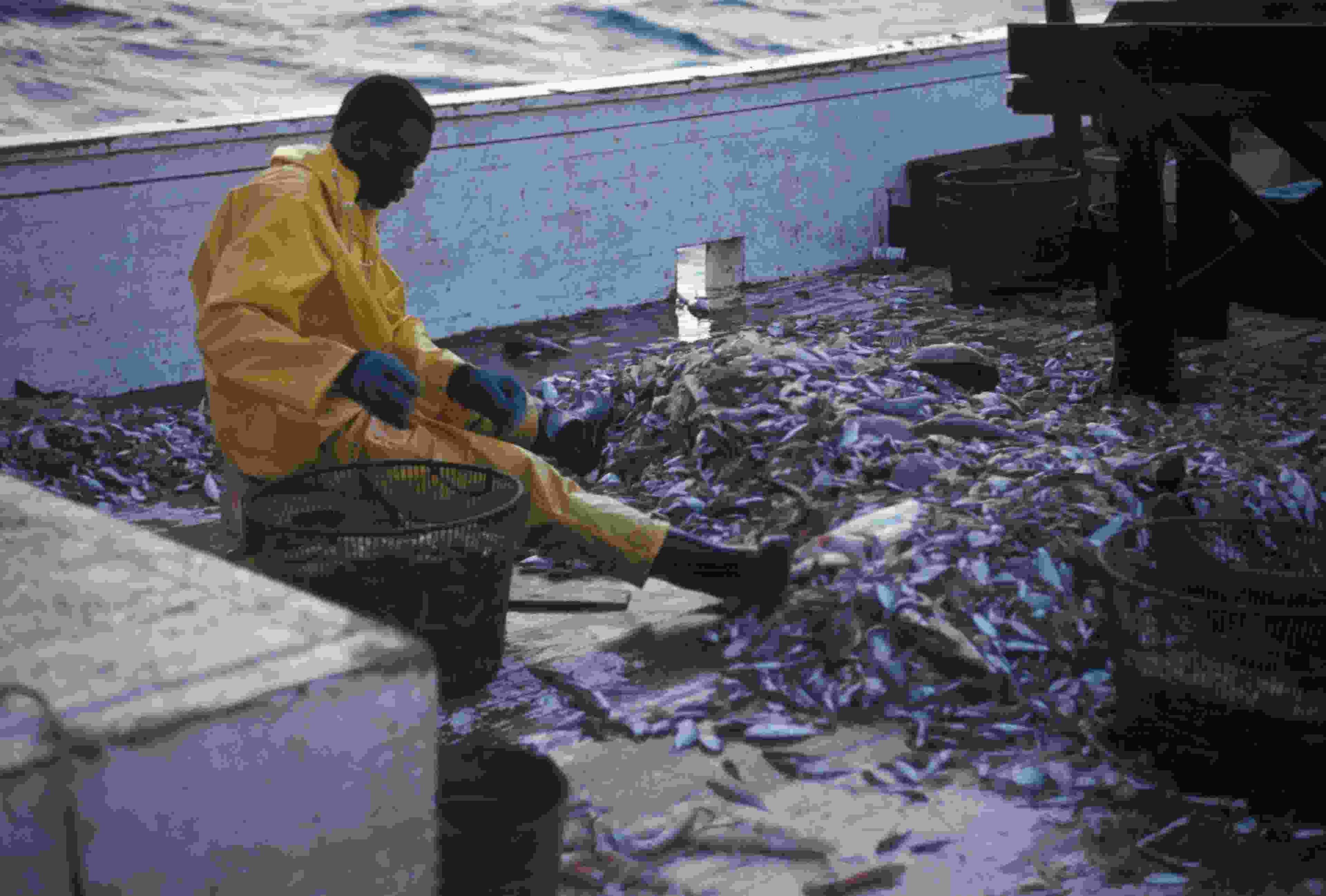 Image de couverture de l'article de blog