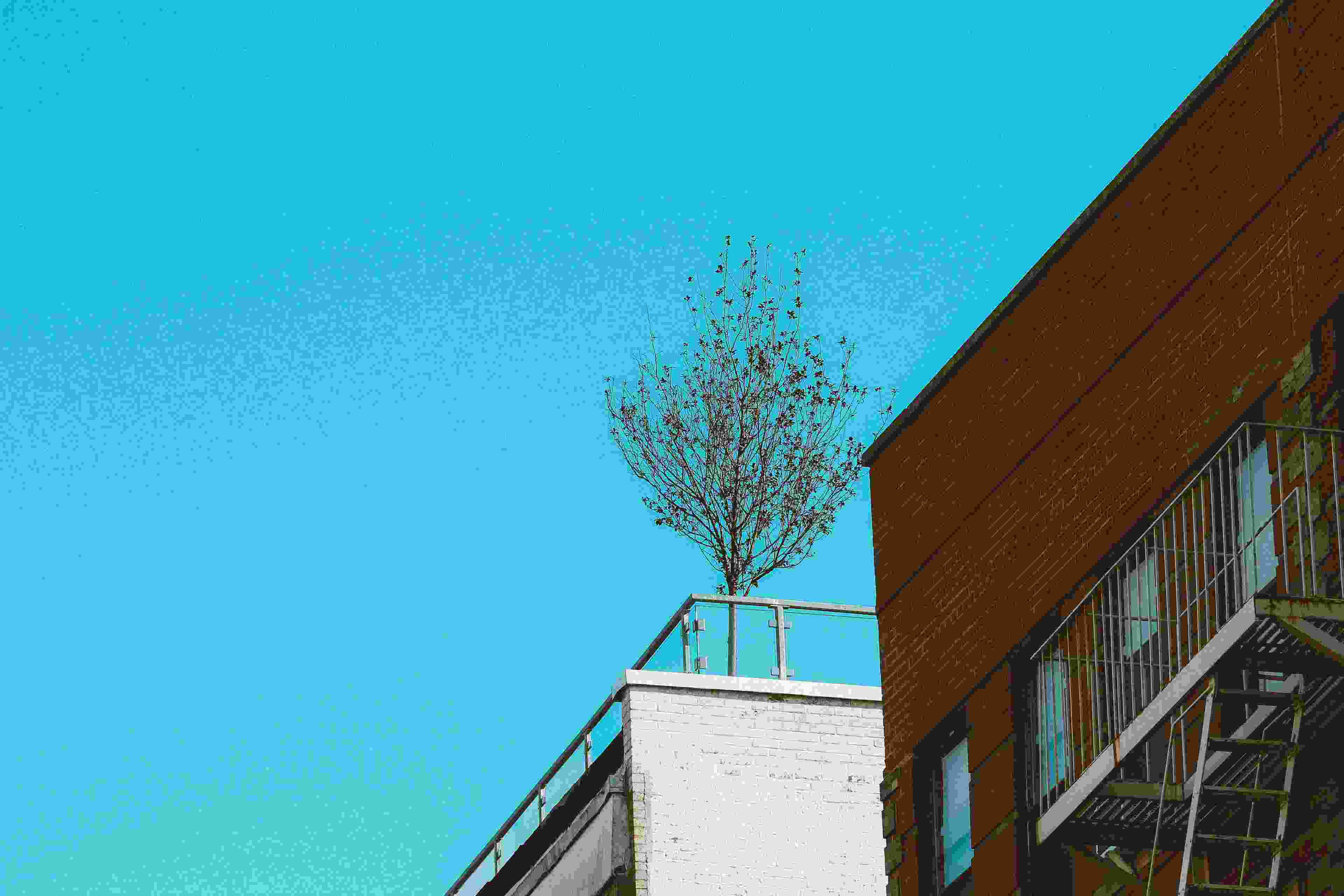 Image de couverture de l'article de blog