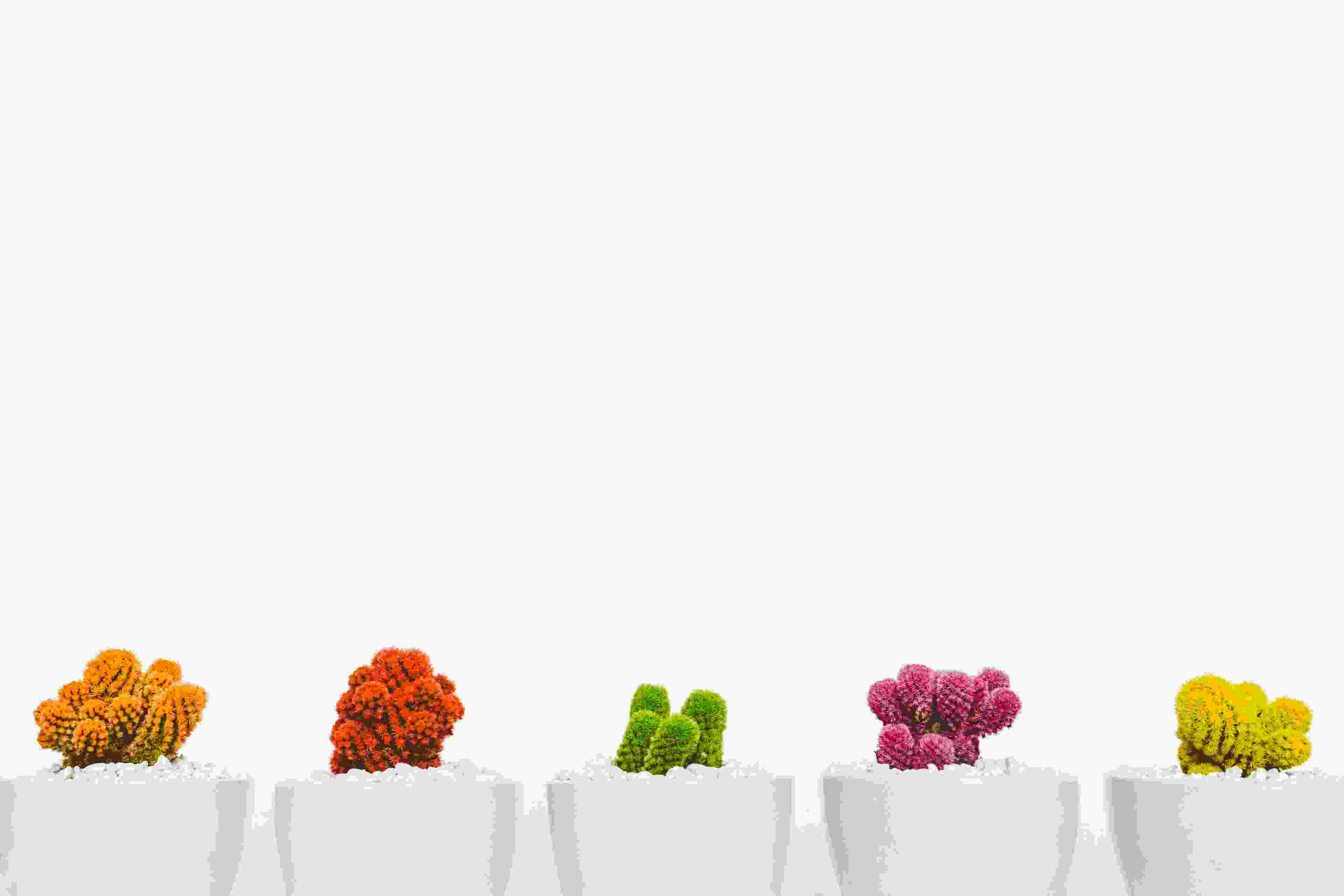 Image de couverture de l'article de blog