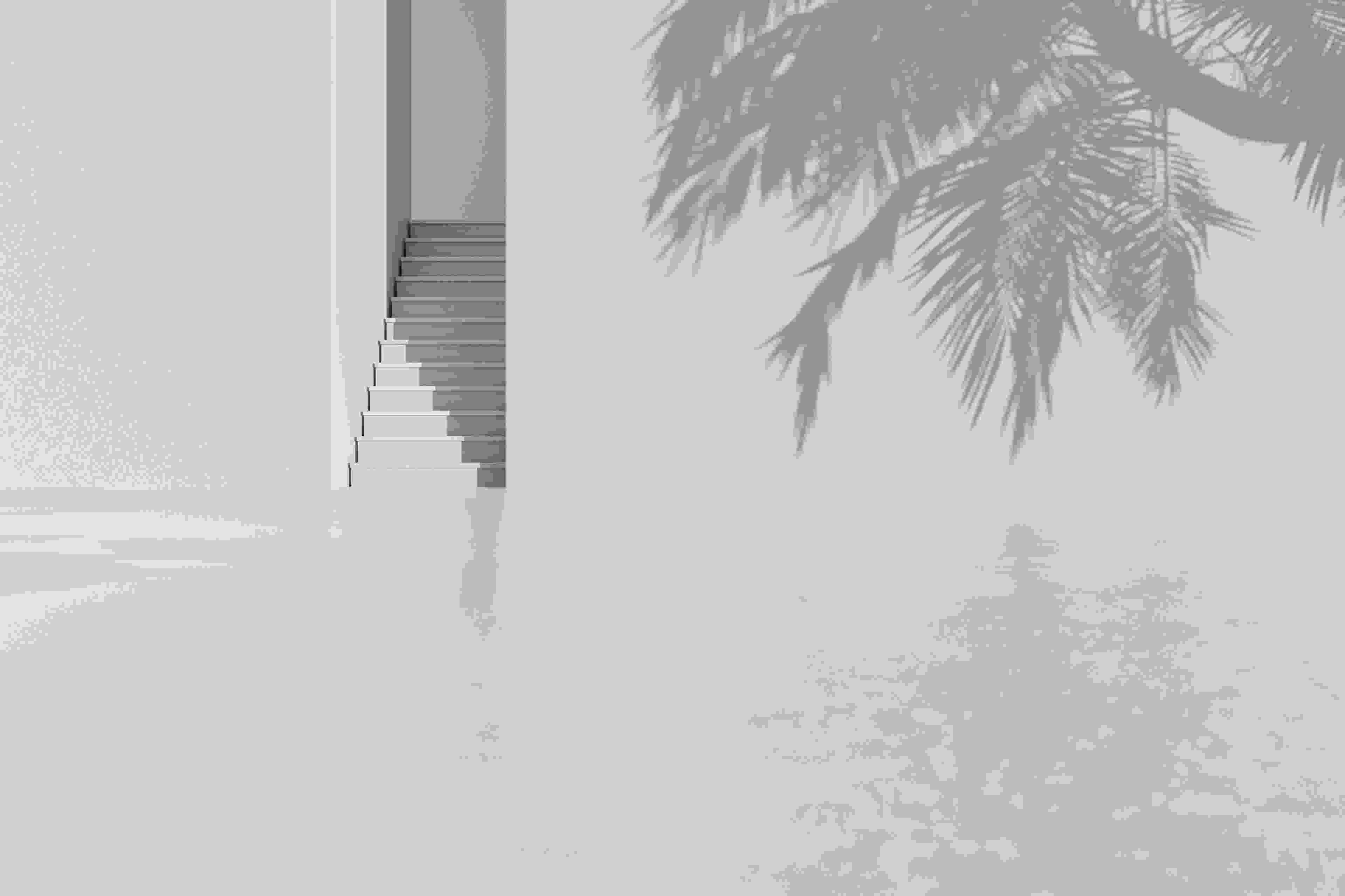 Image de couverture de l'article de blog