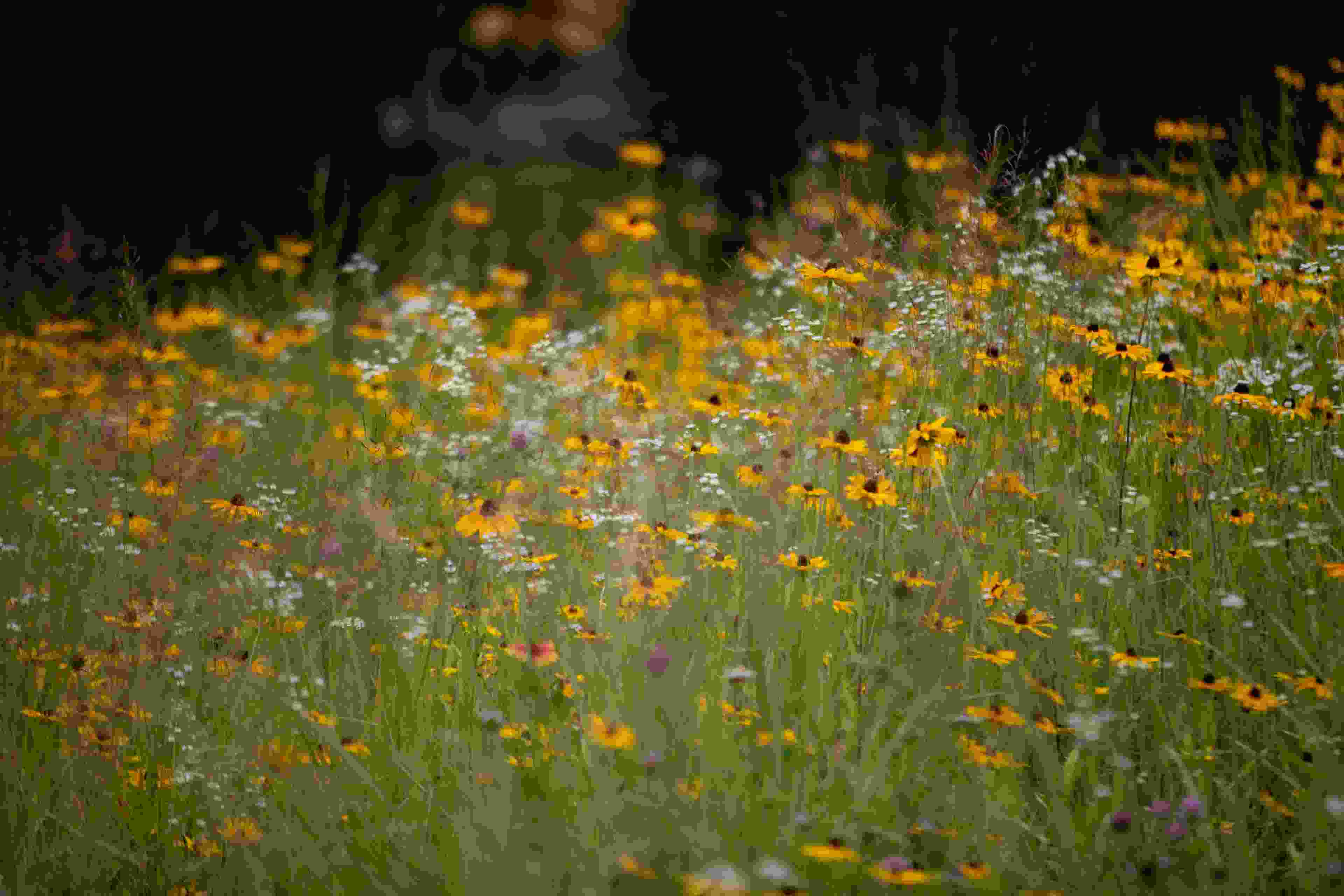 Image de couverture de l'article de blog