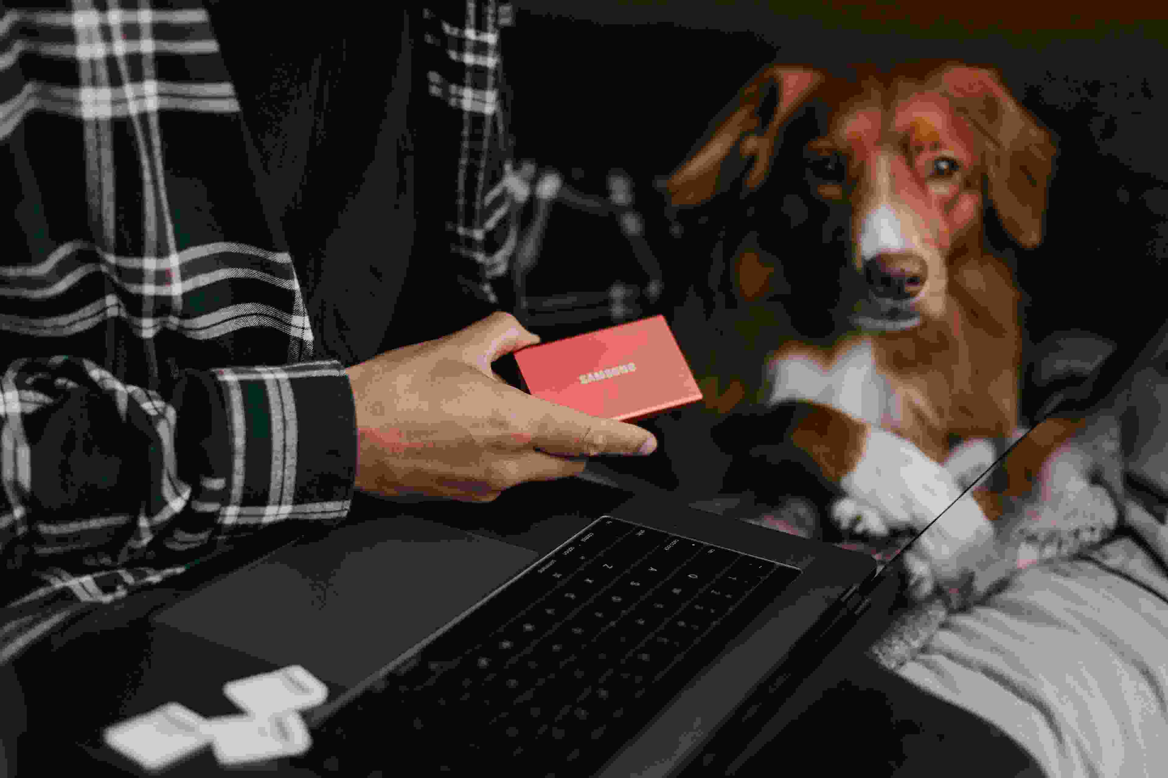 Image de couverture de l'article de blog