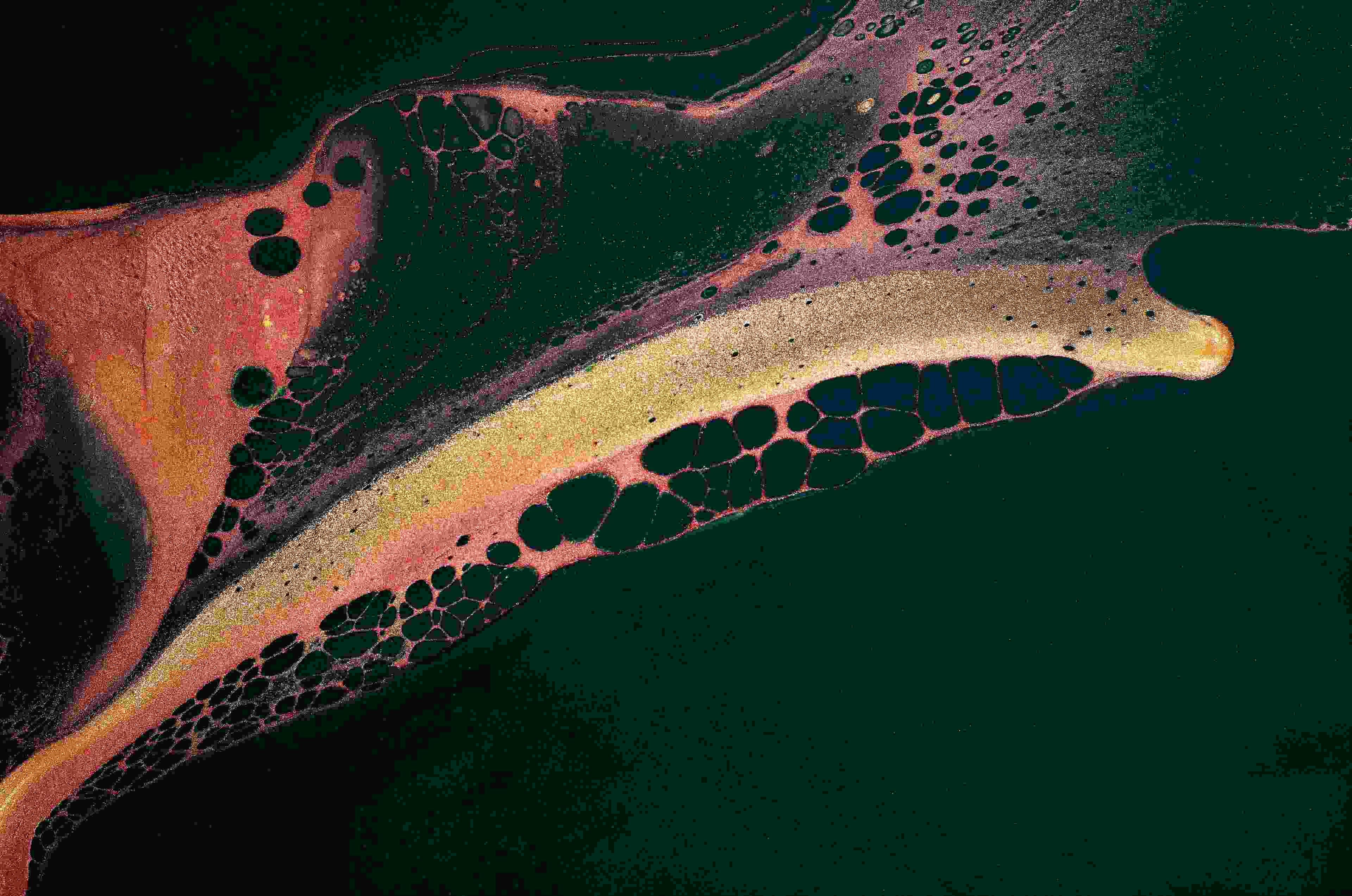 Image de couverture de l'article de blog