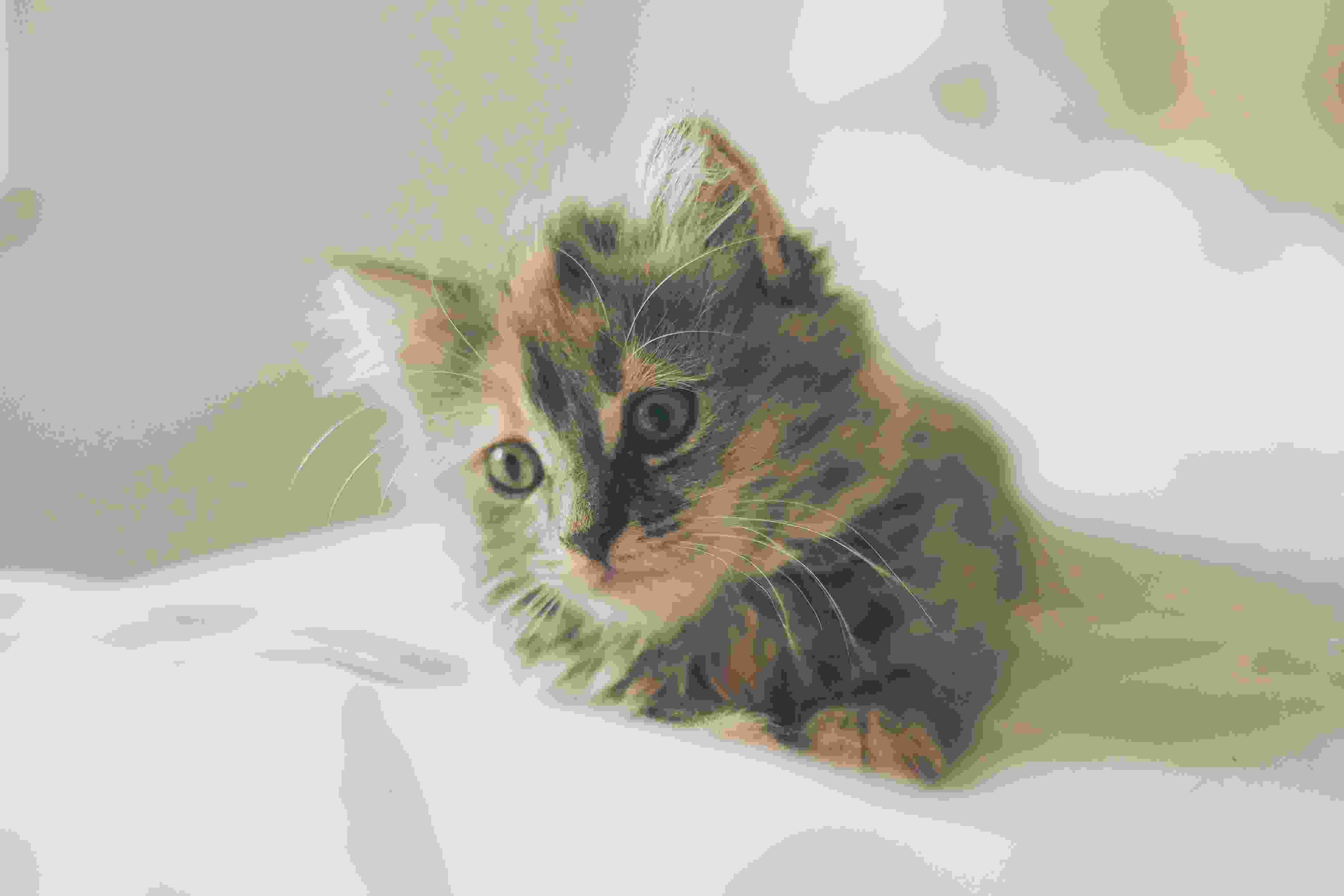 Image de couverture de l'article de blog