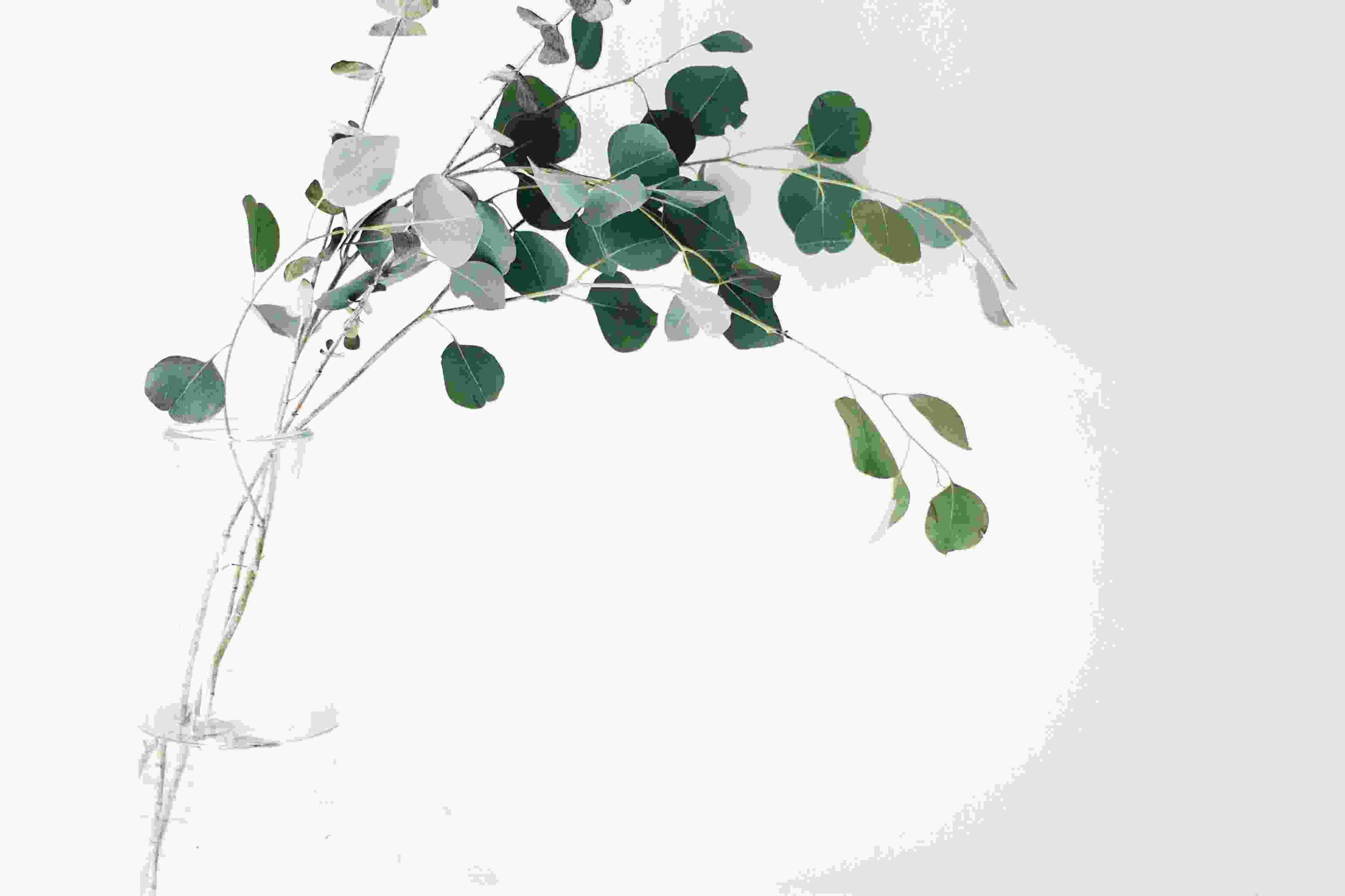 Image de couverture de l'article de blog