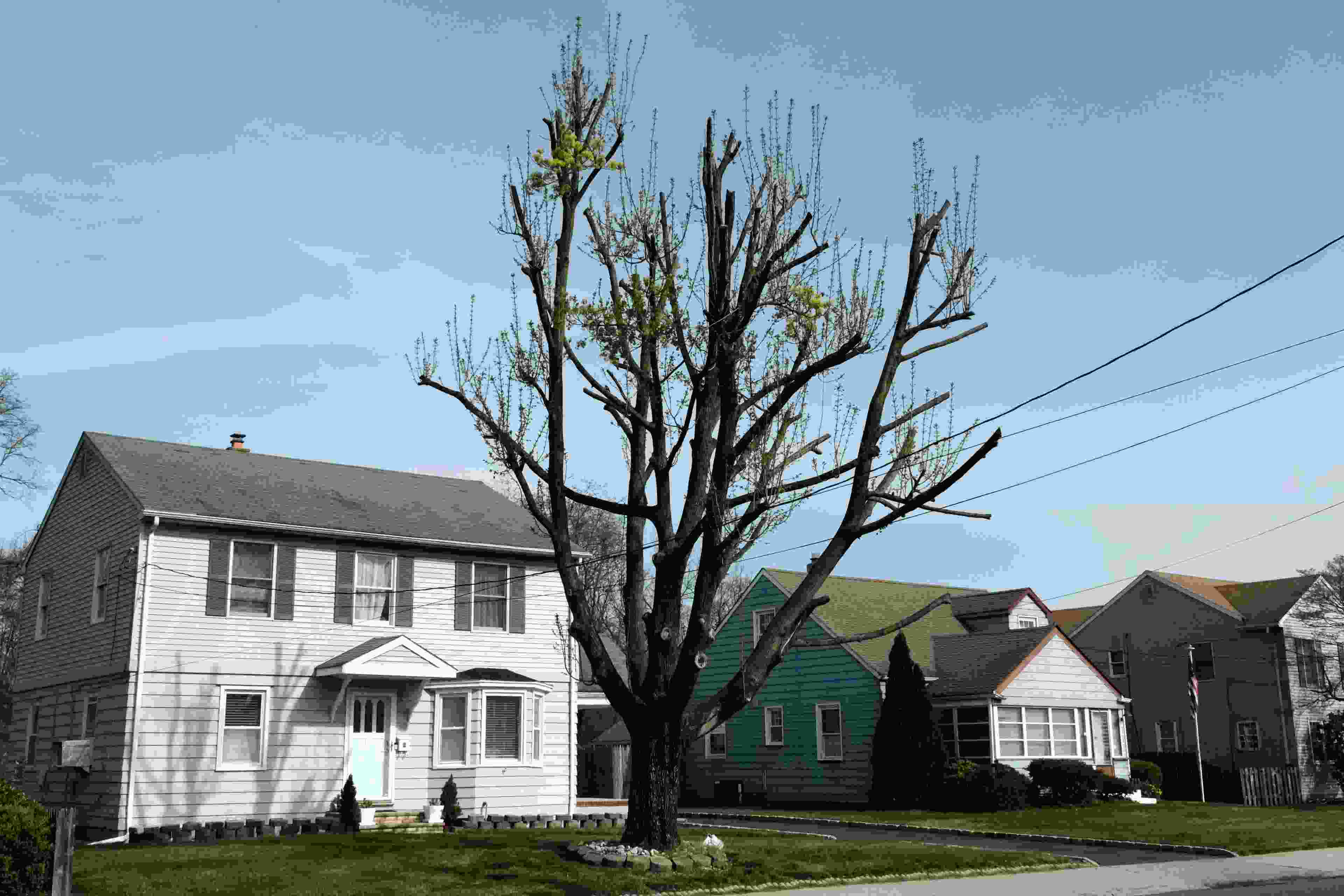 Image de couverture de l'article de blog