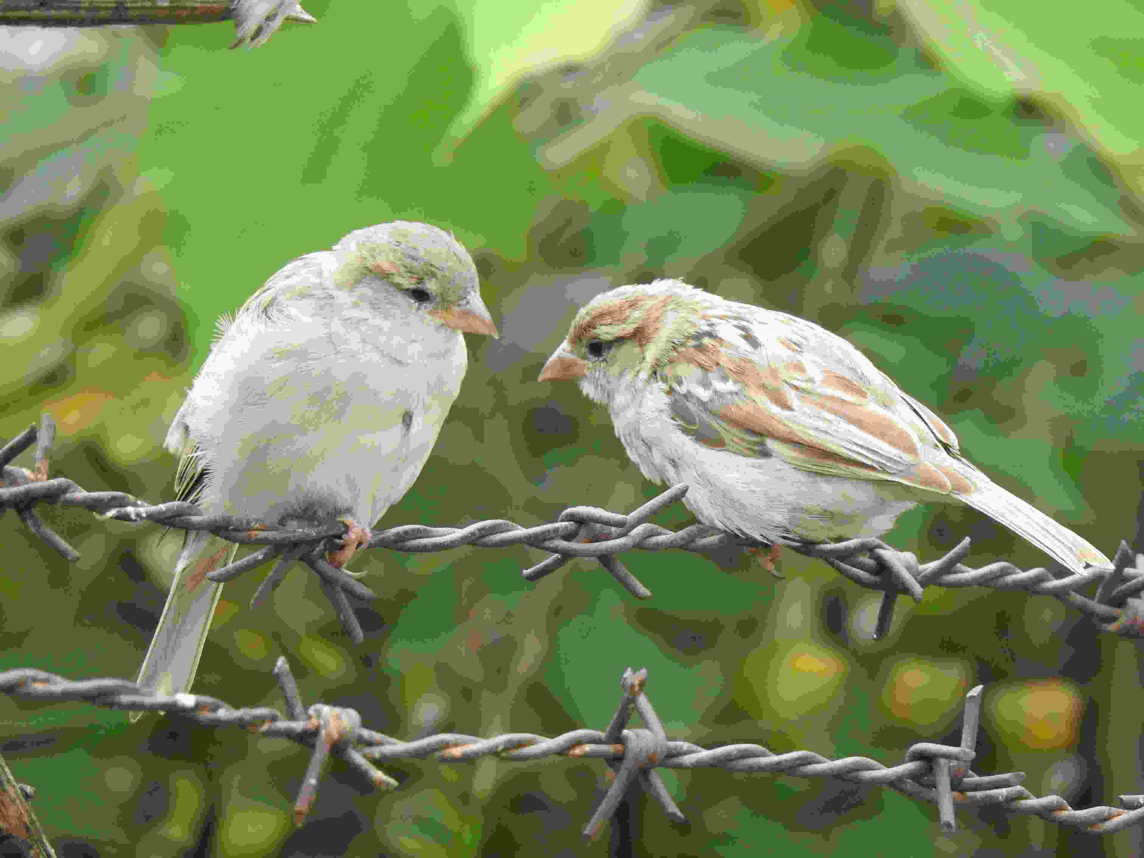 Image de couverture de l'article de blog