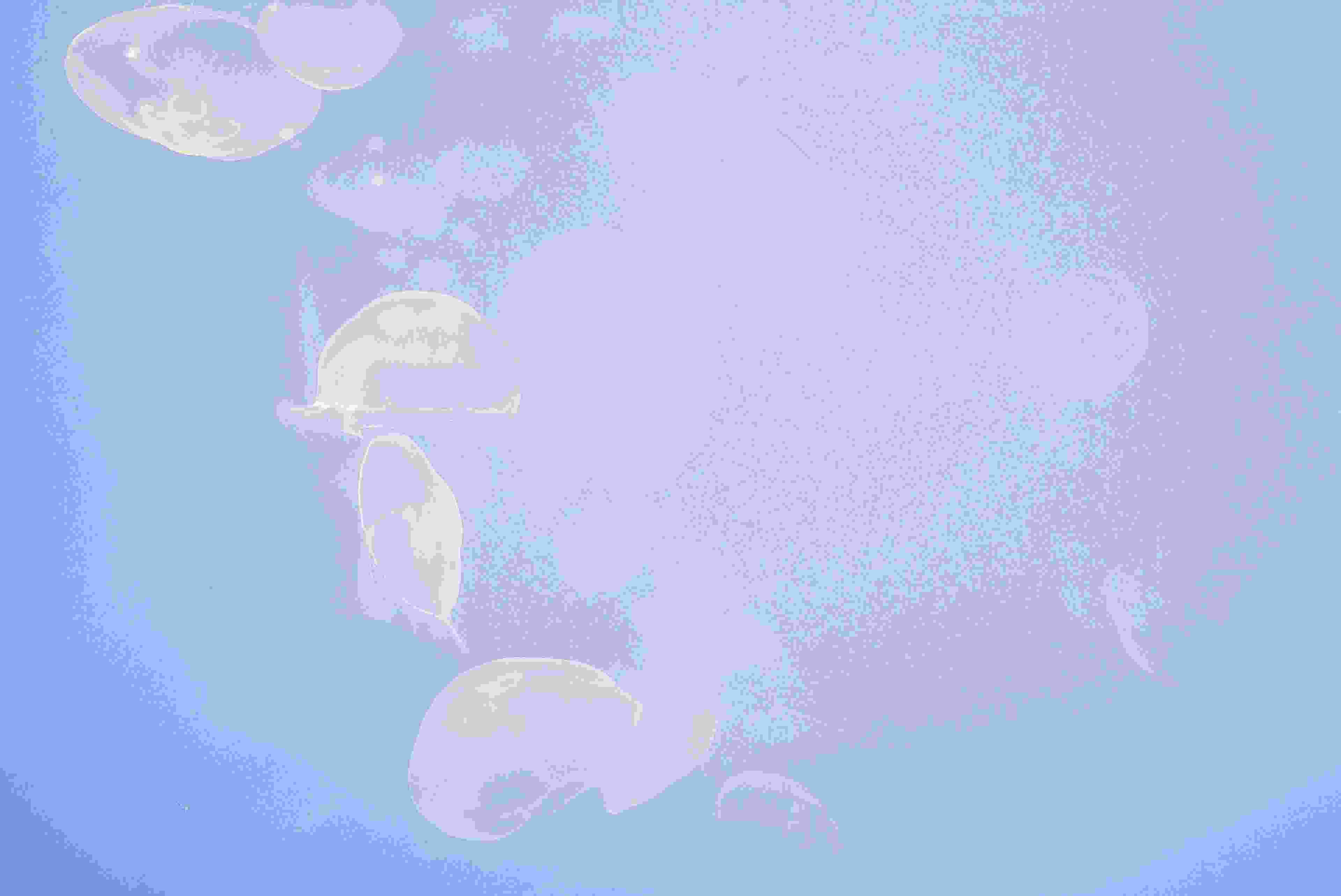 Image de couverture de l'article de blog