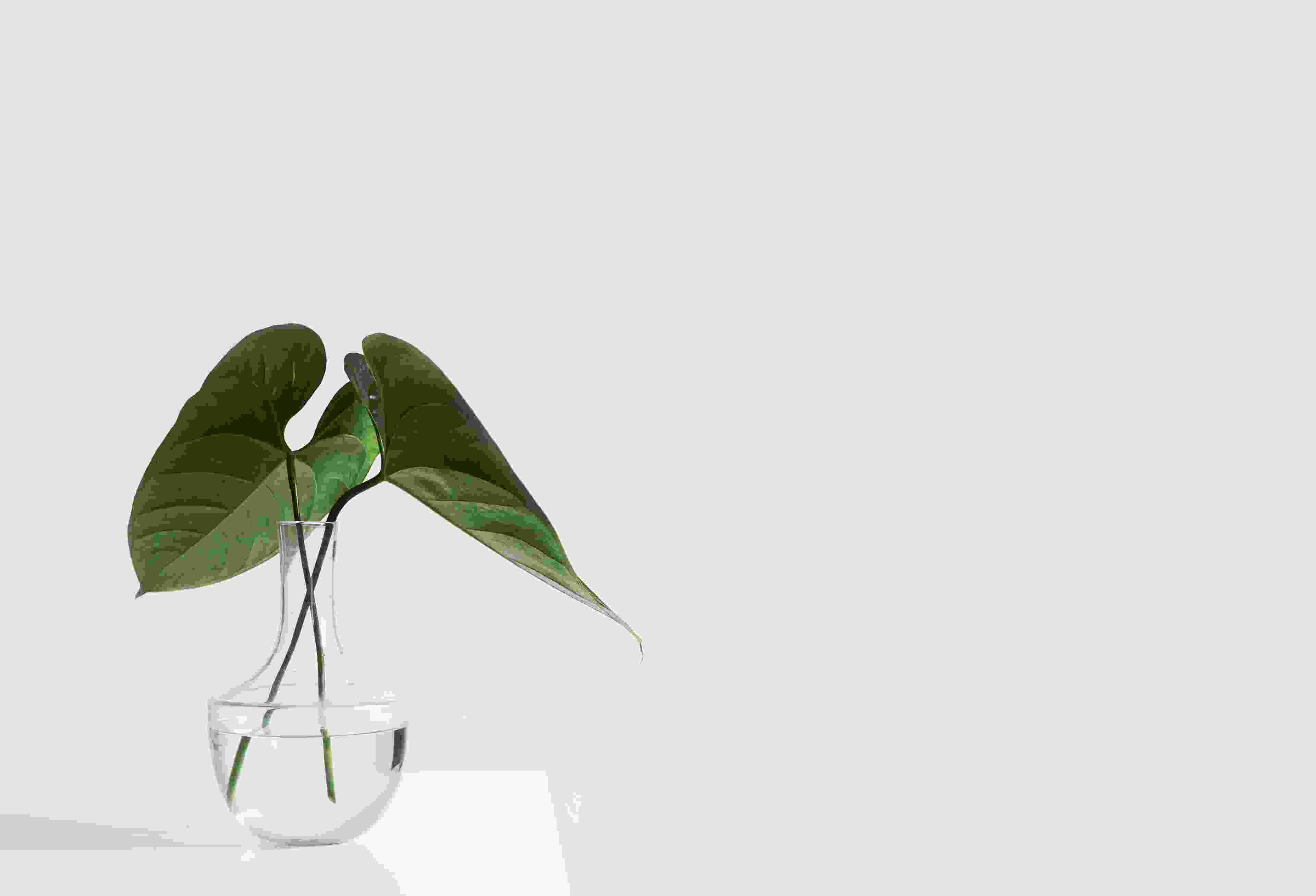 Image de couverture de l'article de blog