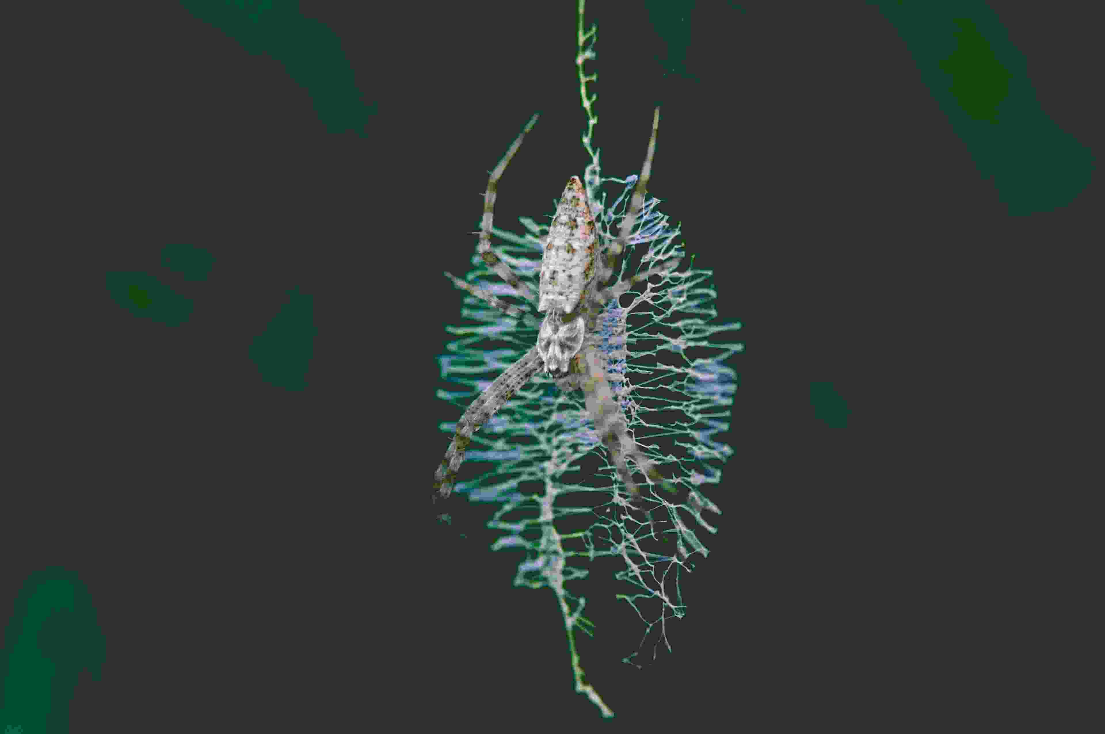 Image de couverture de l'article de blog