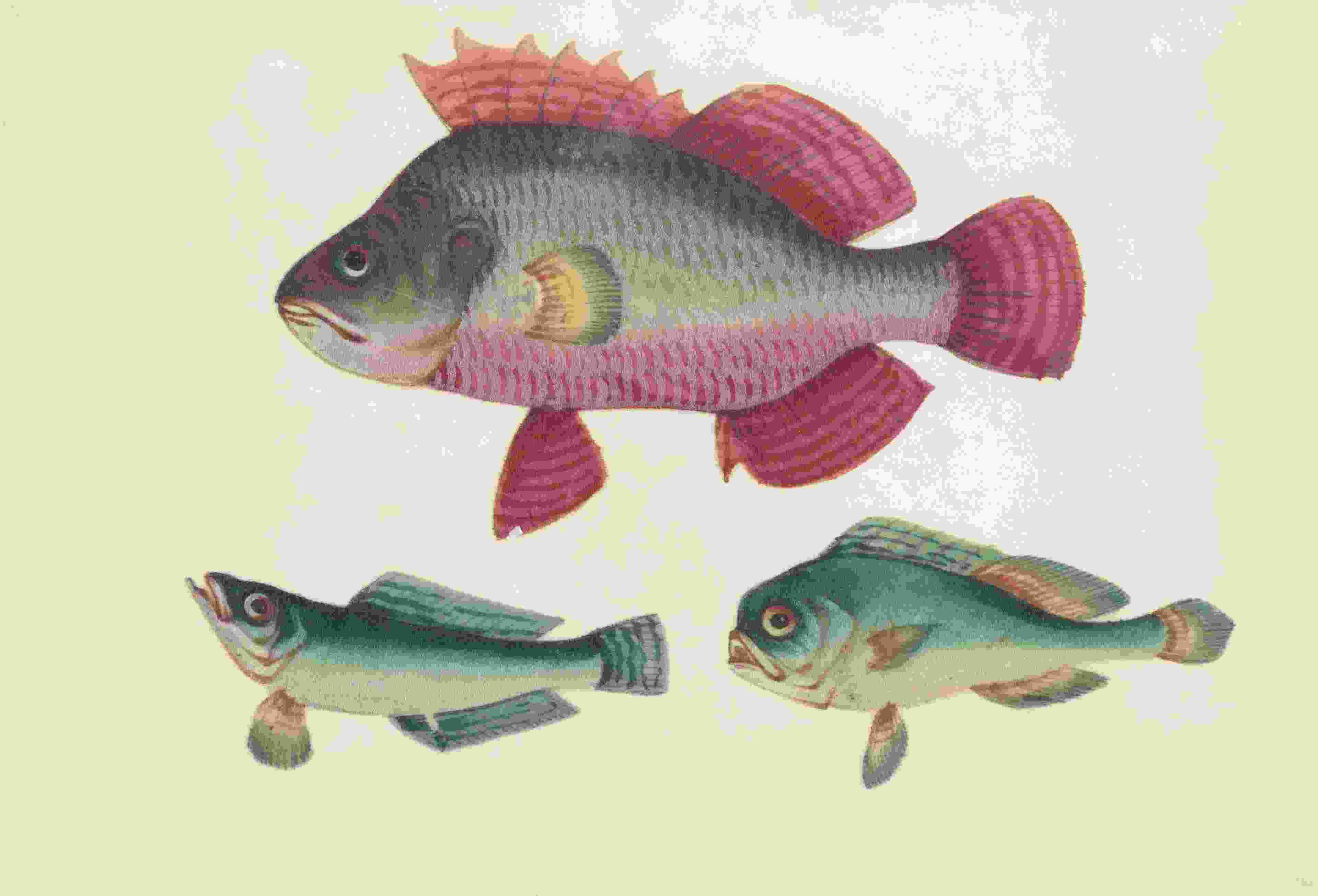 Image de couverture de l'article de blog