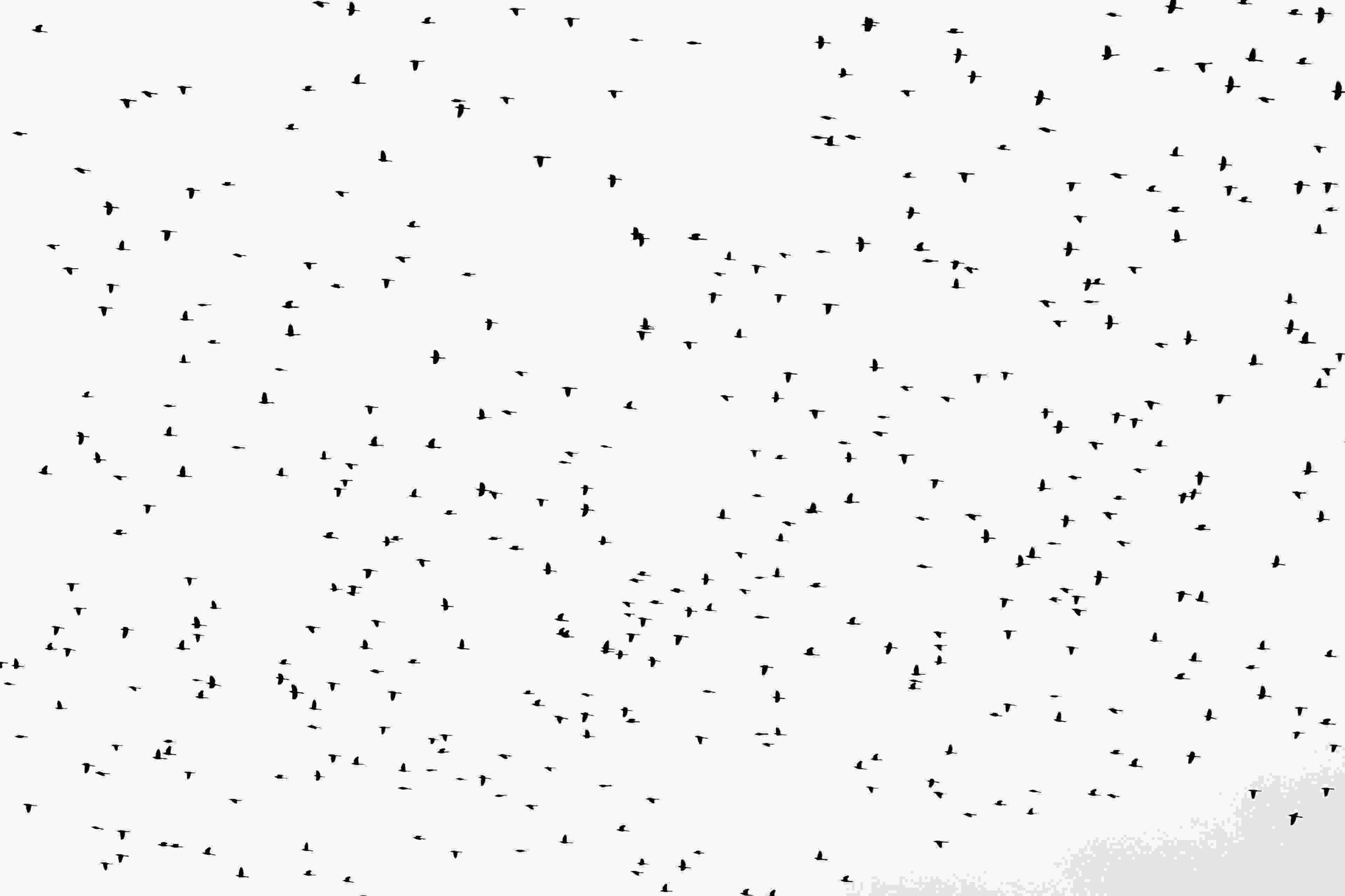 Image de couverture de l'article de blog