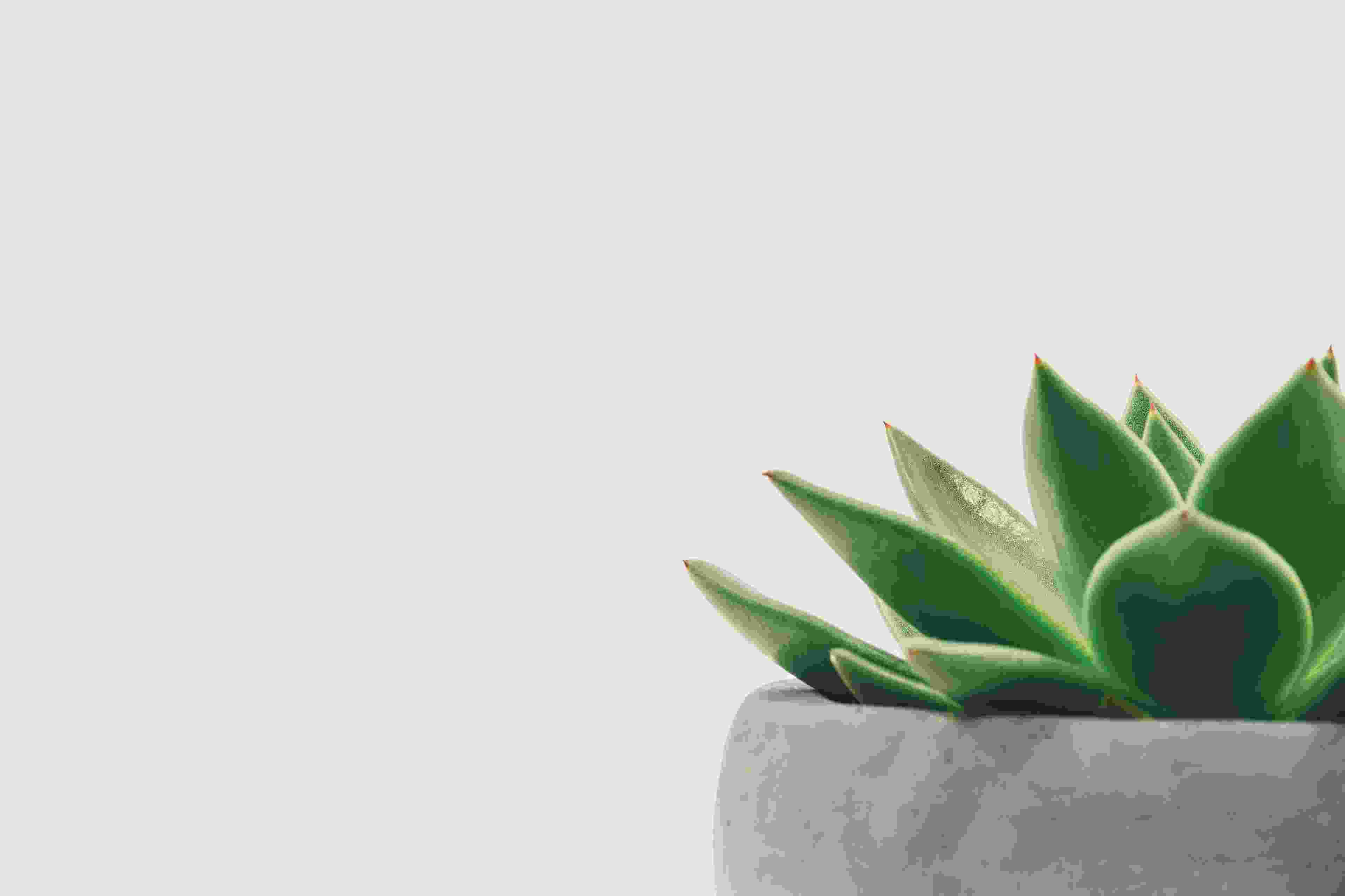 Image de couverture de l'article de blog