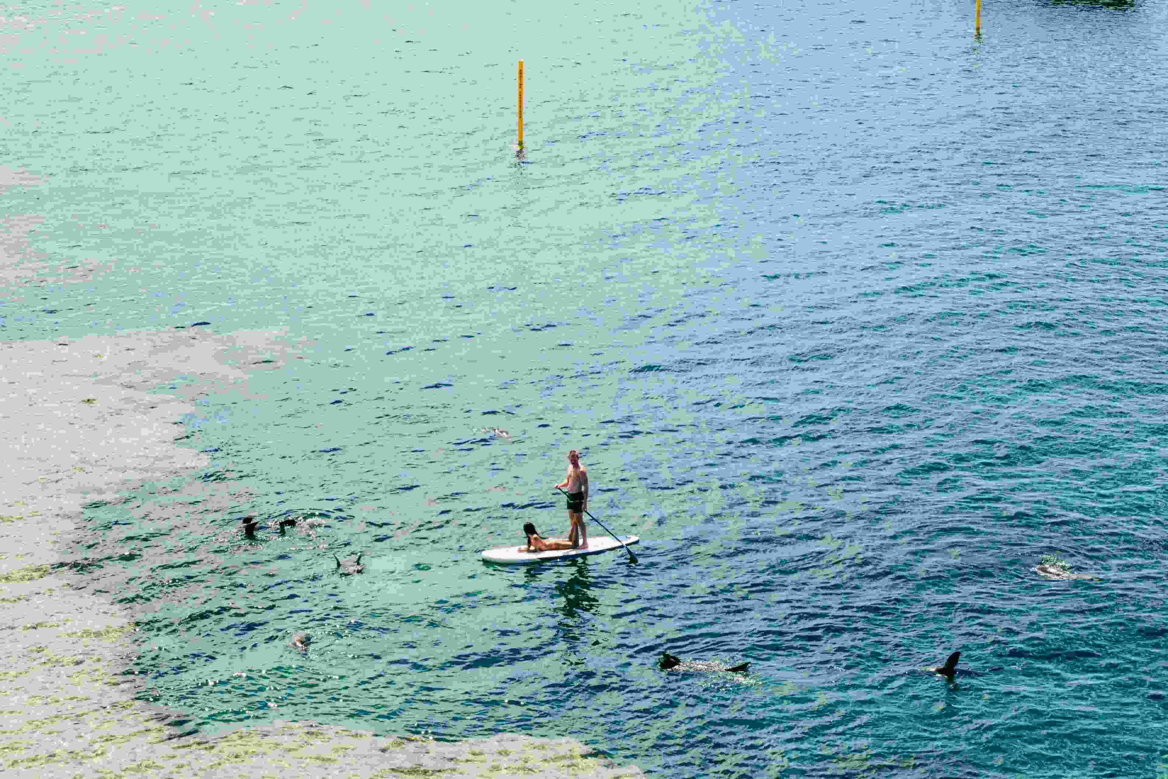 Image de couverture de l'article de blog