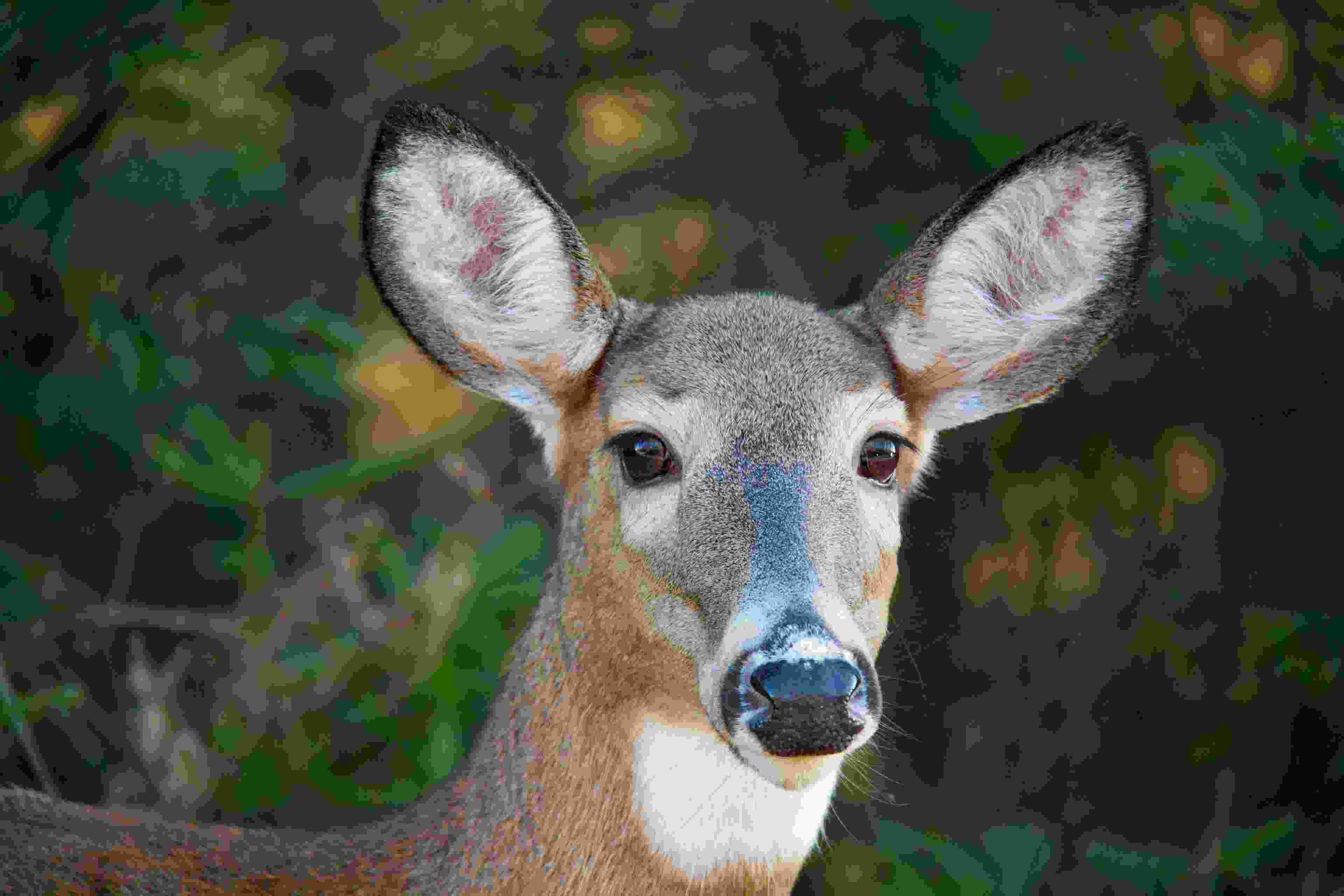 Image de couverture de l'article de blog