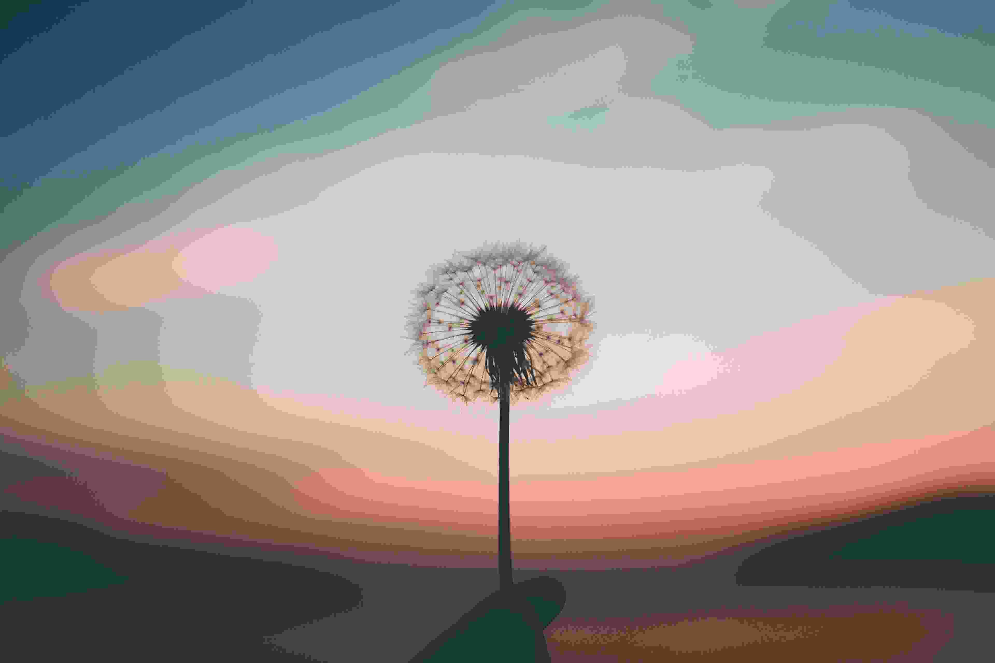 Image de couverture de l'article de blog