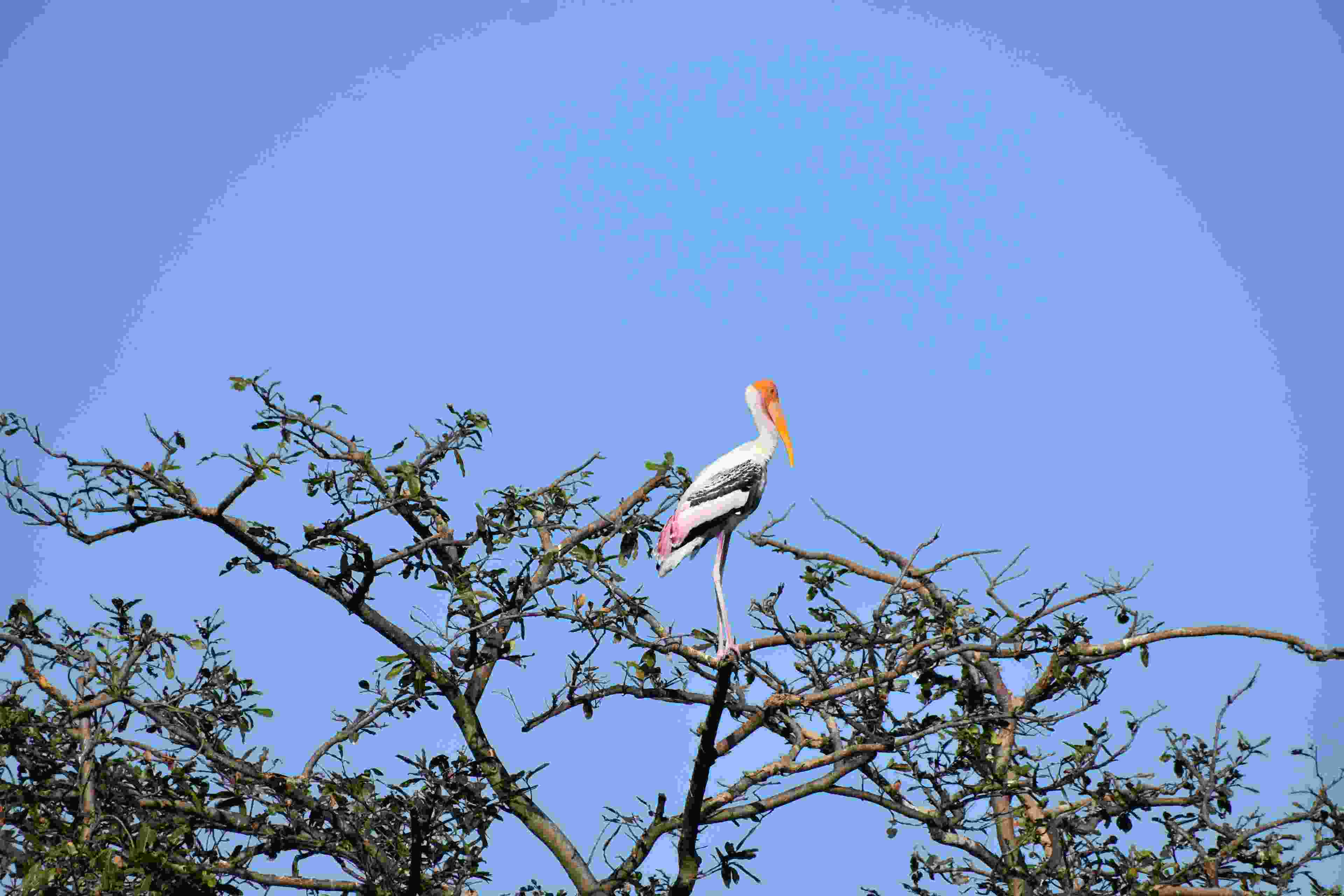 Image de couverture de l'article de blog