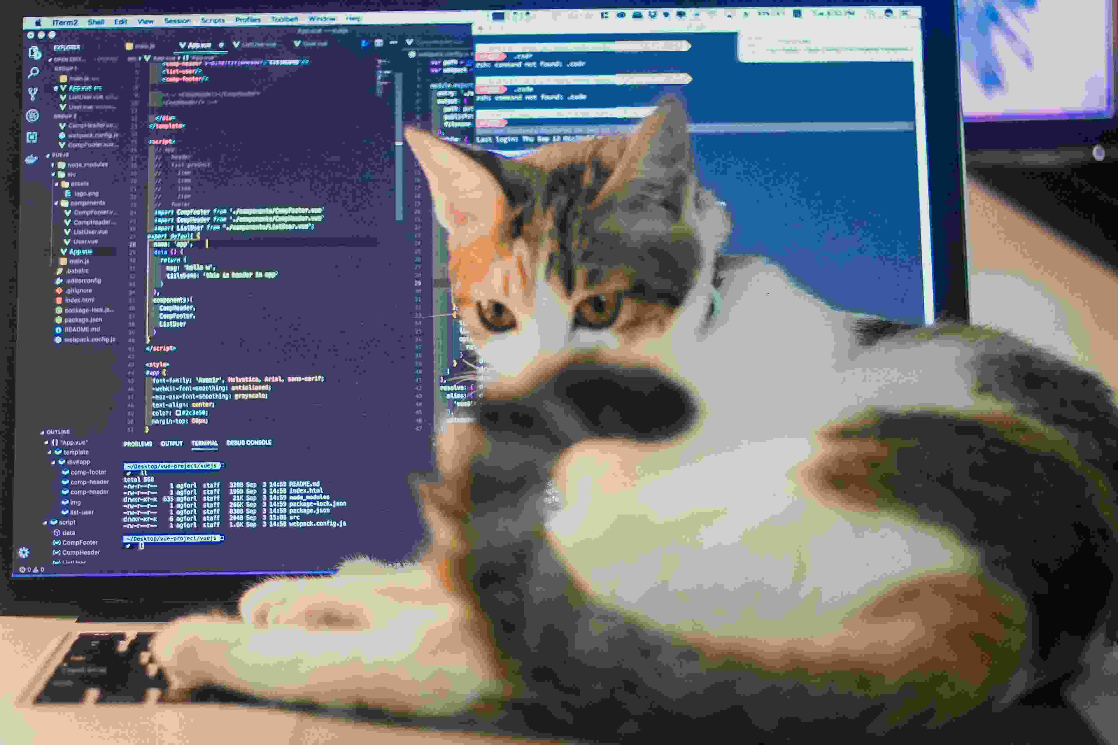 Image de couverture de l'article de blog