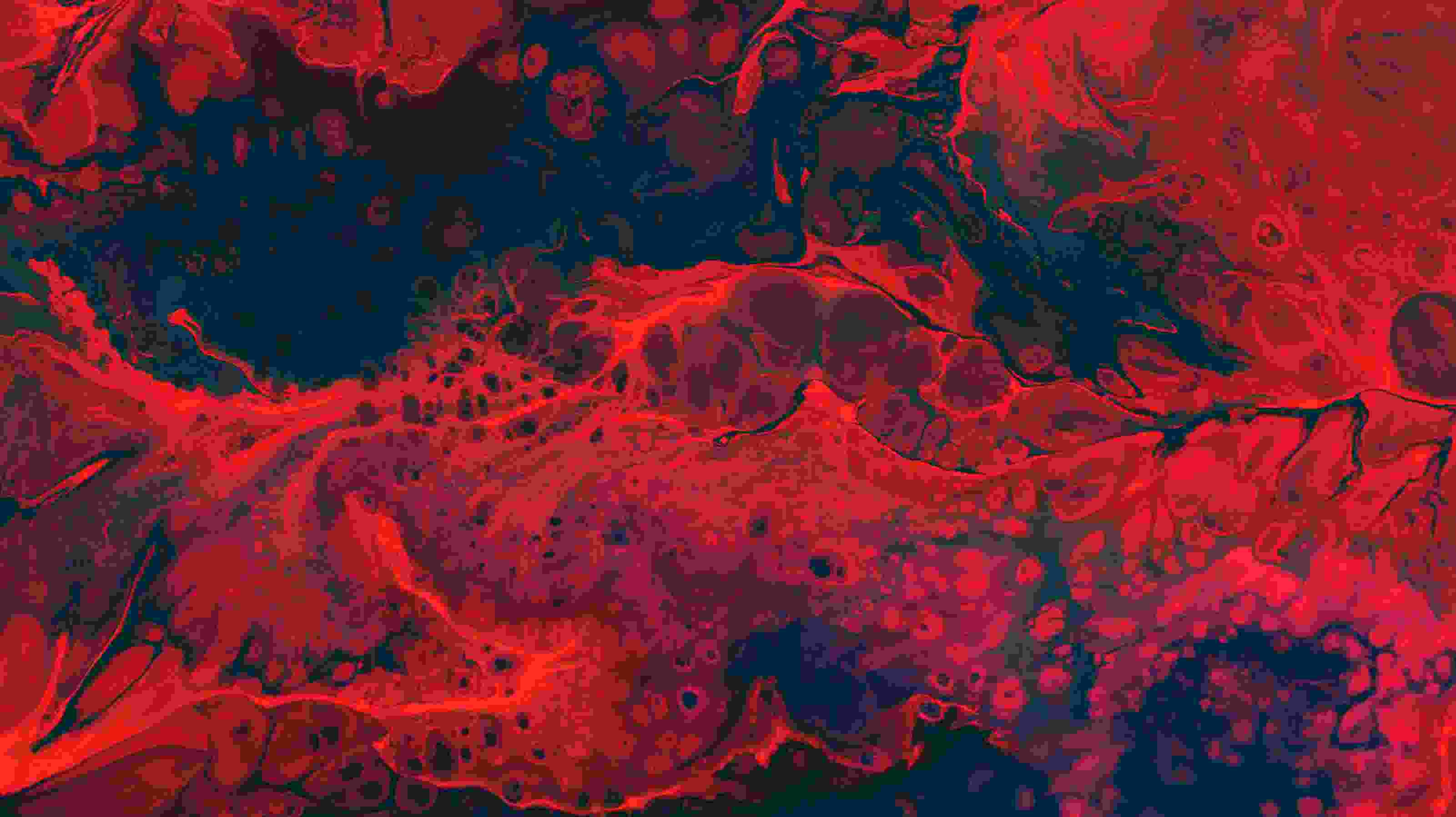 Image de couverture de l'article de blog