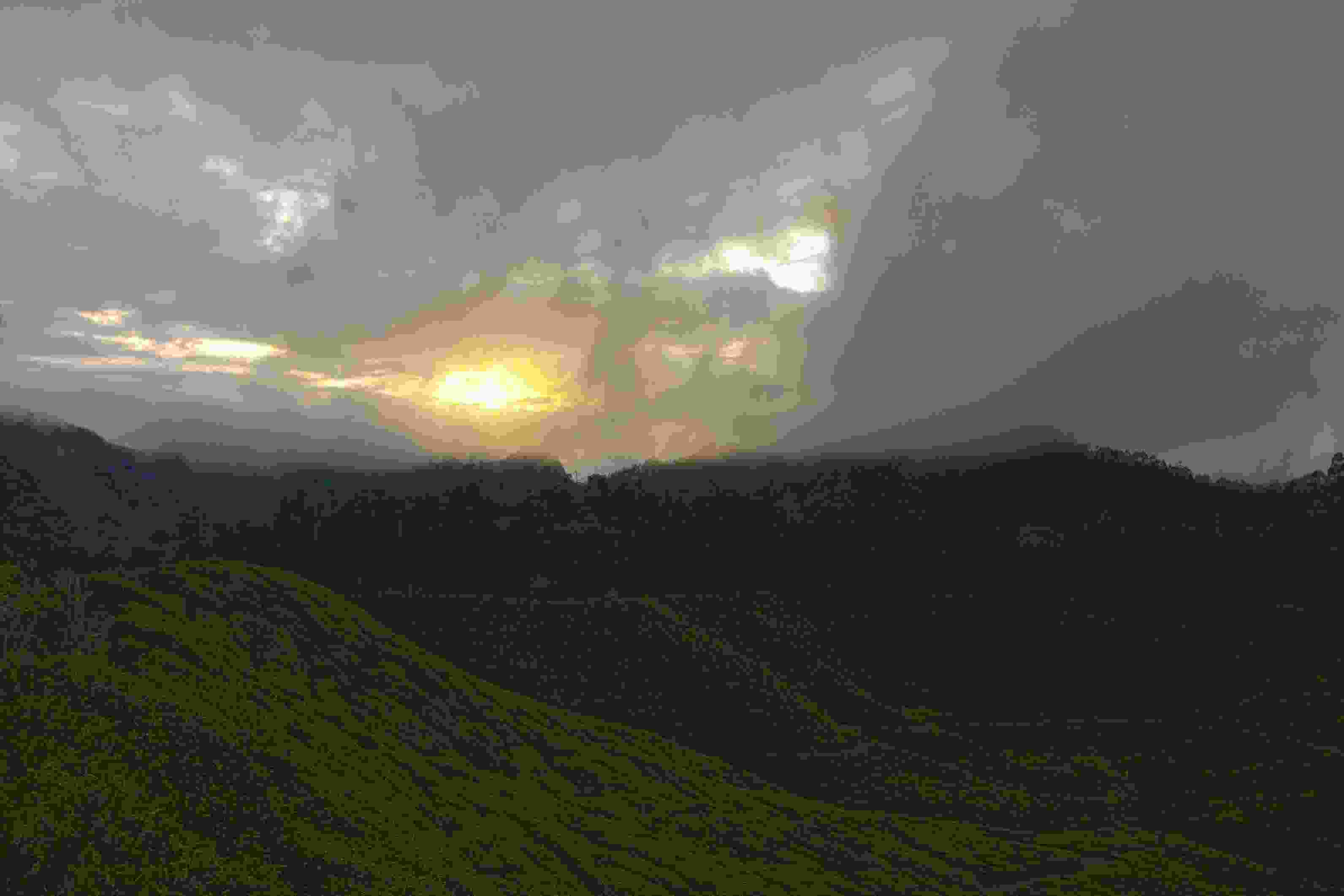 Image de couverture de l'article de blog