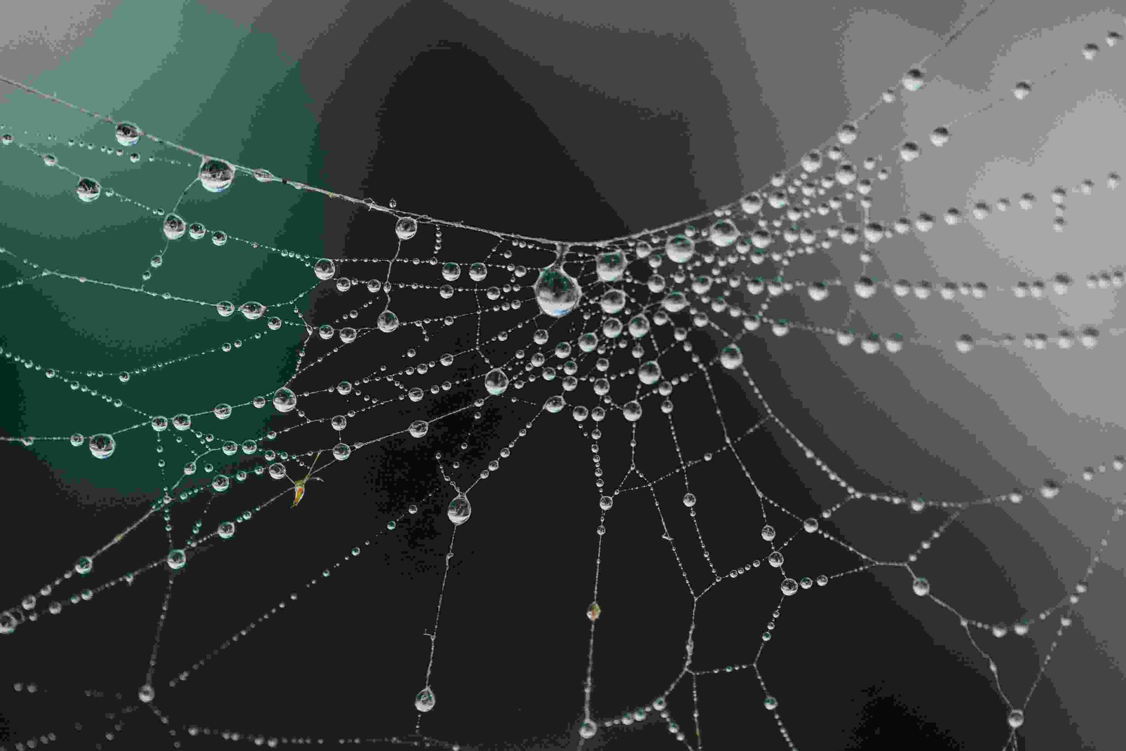 Image de couverture de l'article de blog