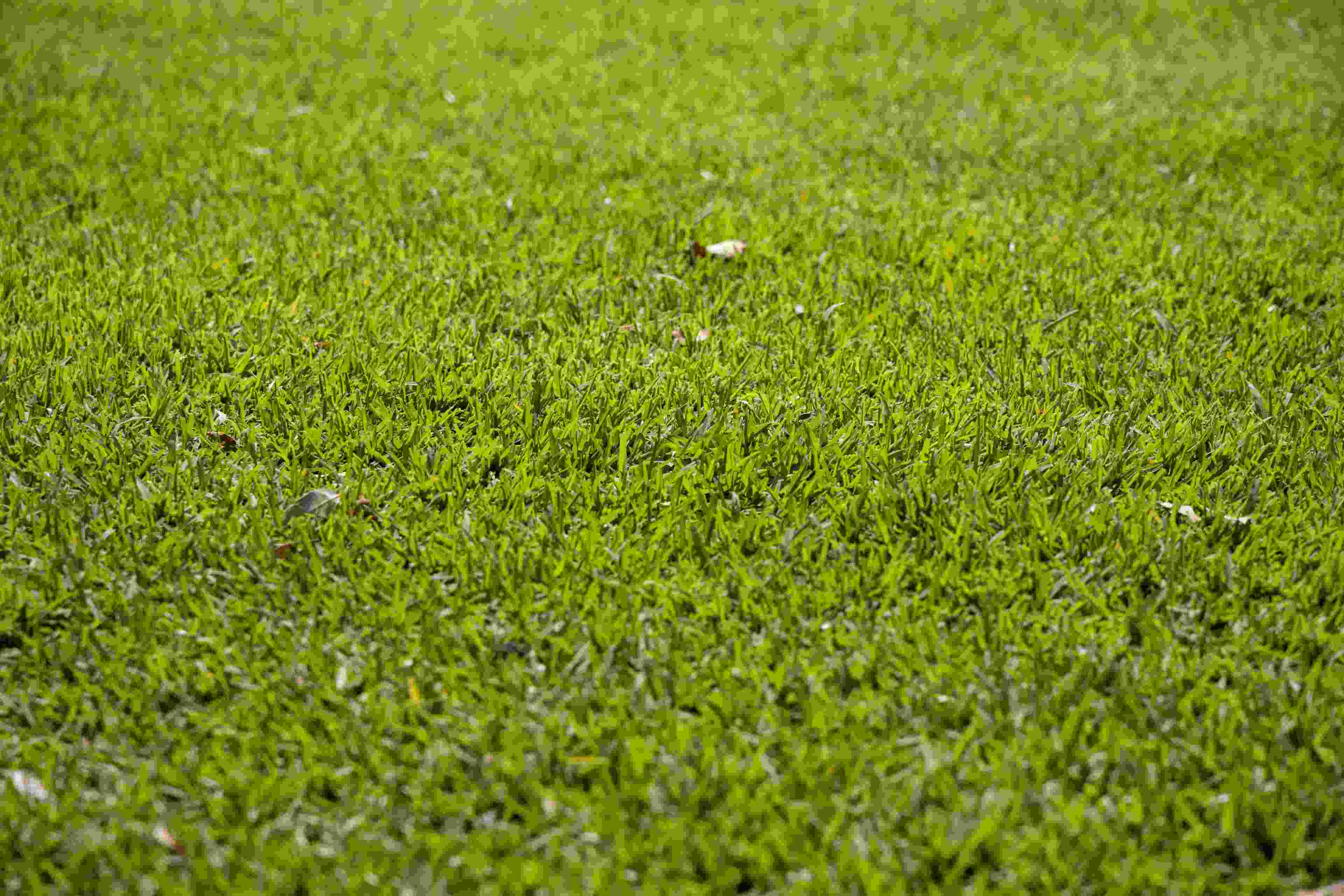 Image de couverture de l'article de blog