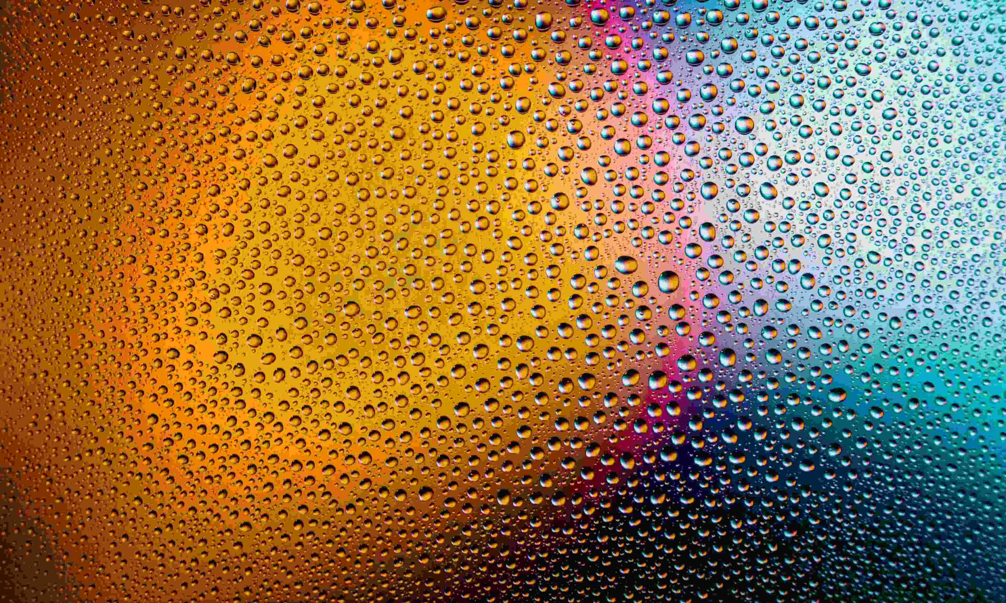 Image de couverture de l'article de blog