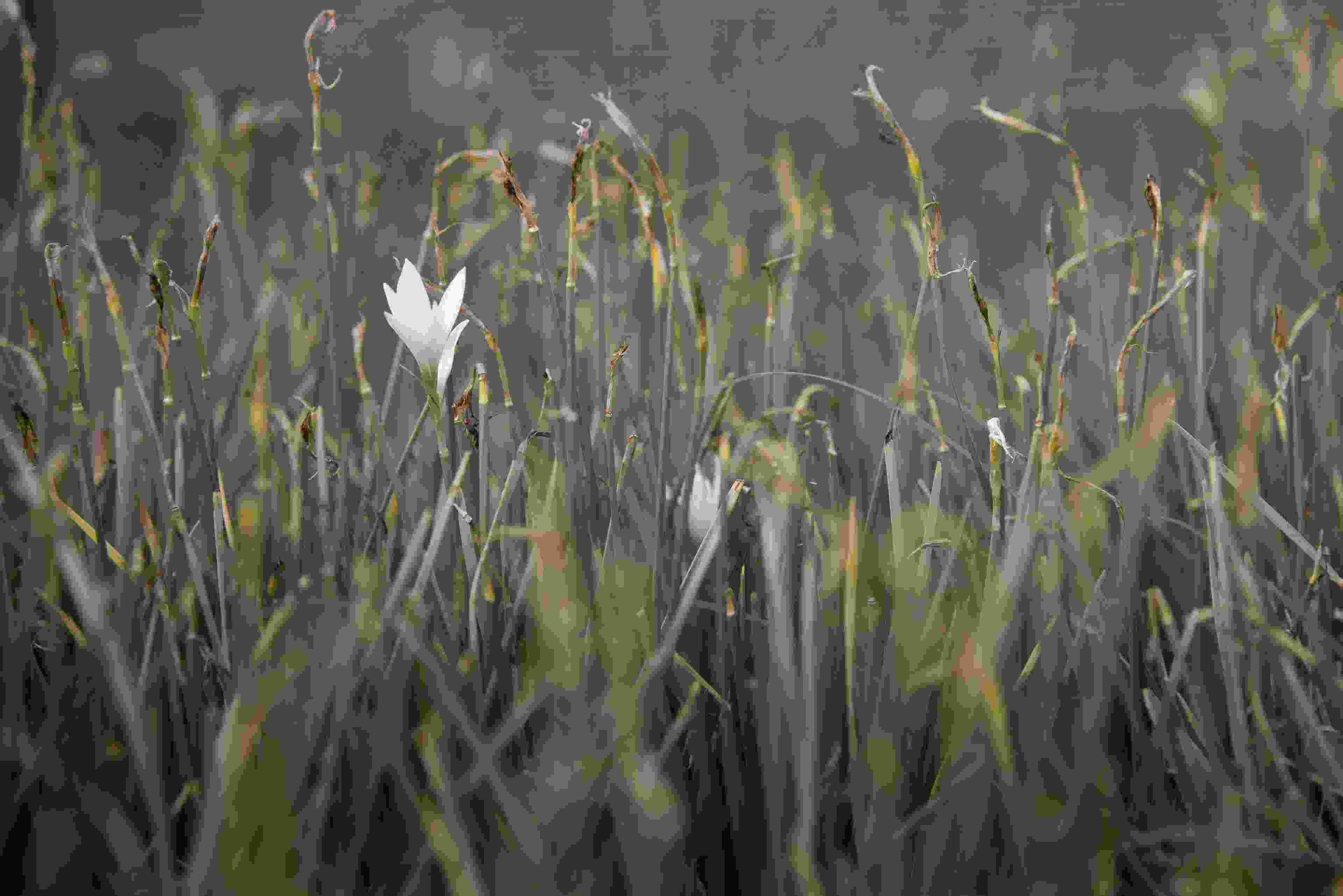 Image de couverture de l'article de blog