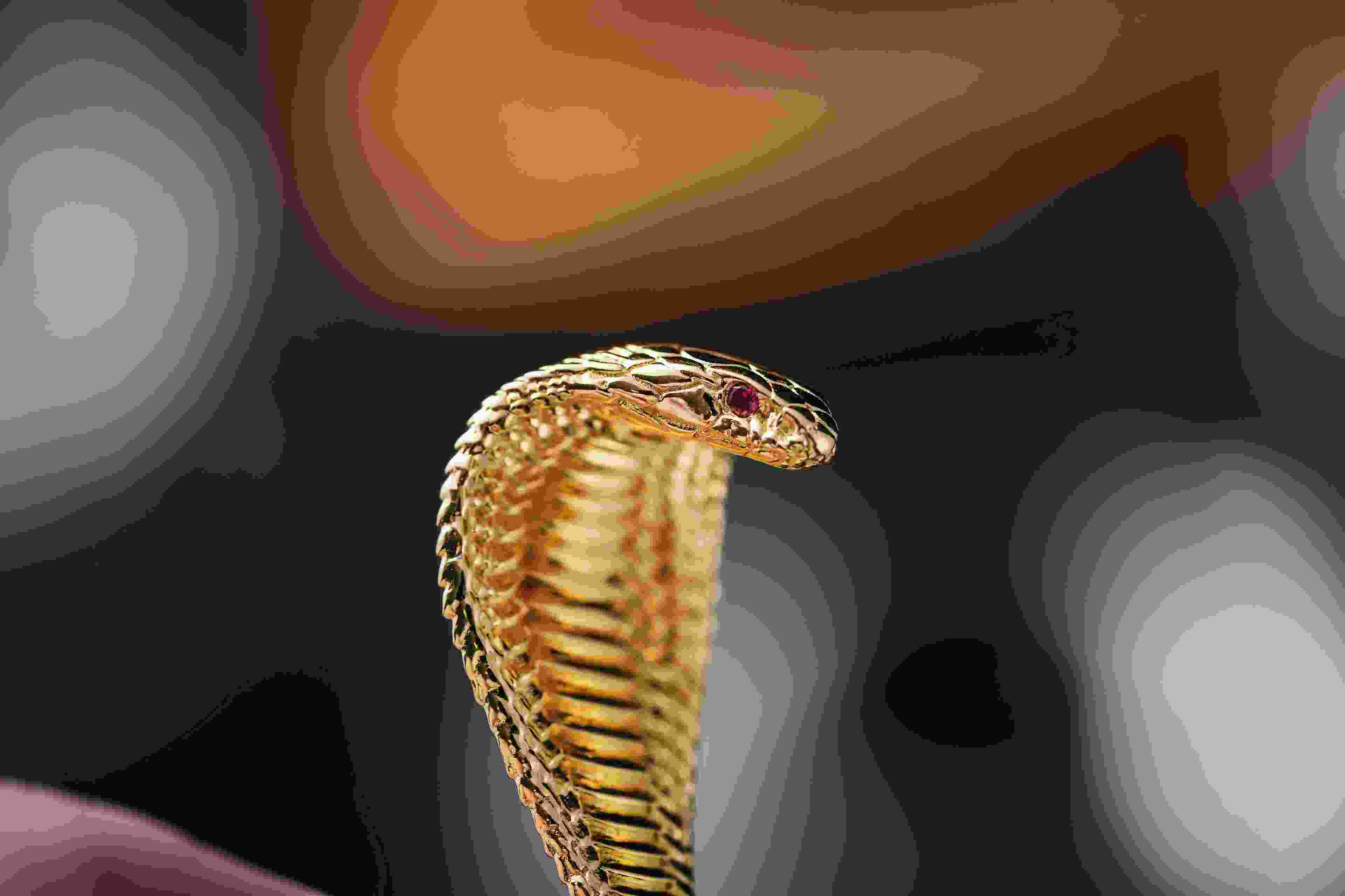 Image de couverture de l'article de blog