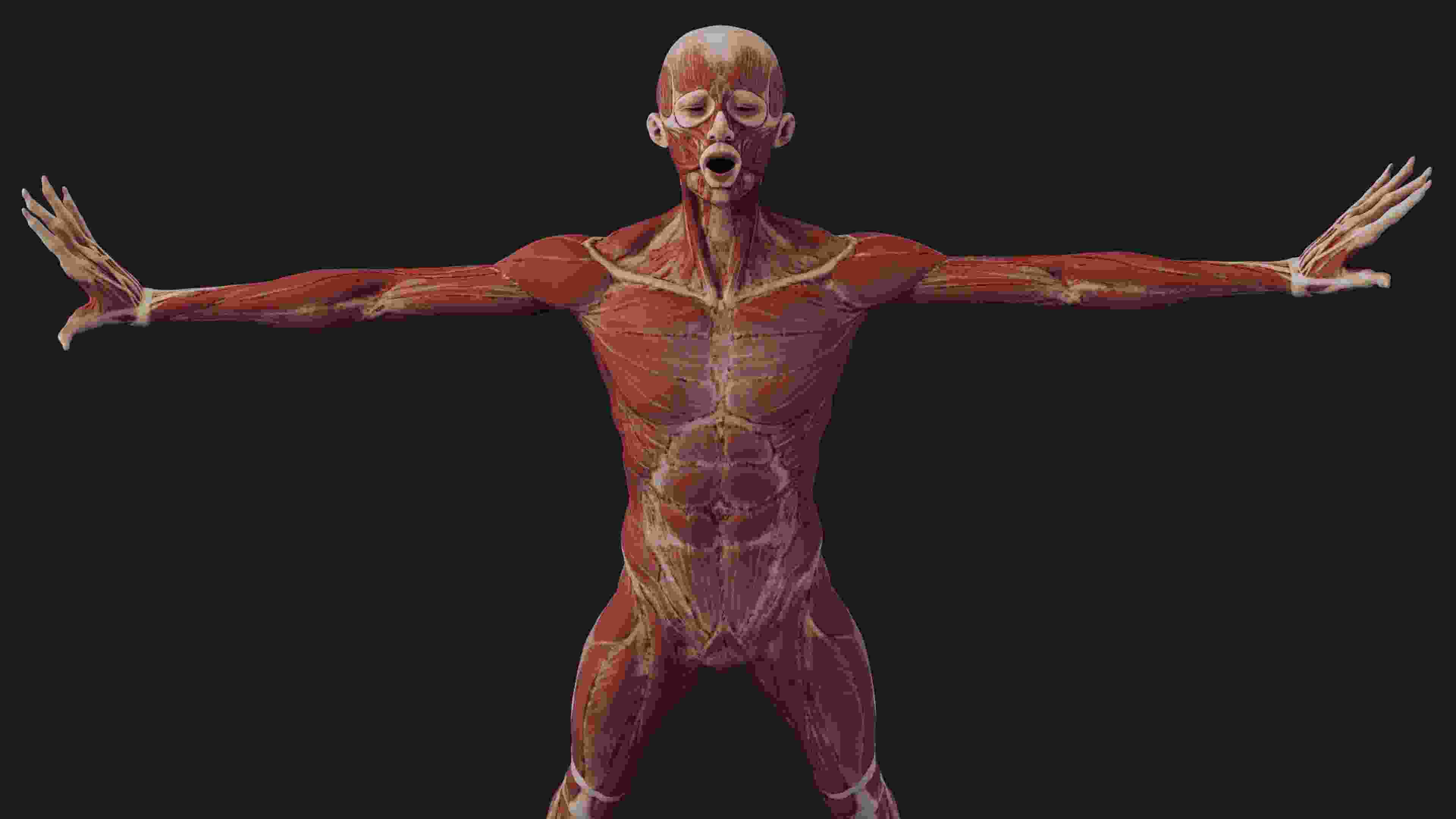 Image de couverture de l'article de blog