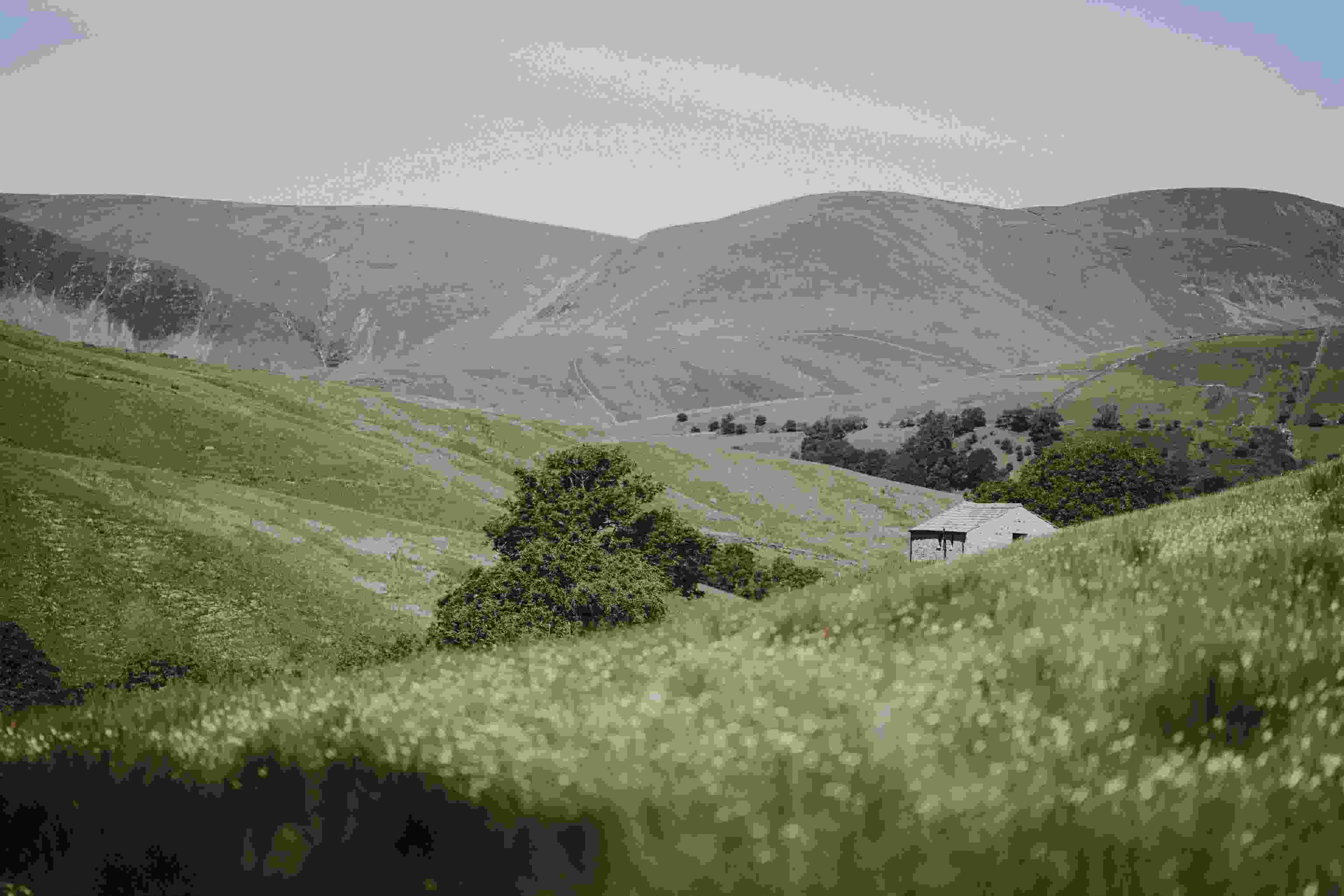 Image de couverture de l'article de blog