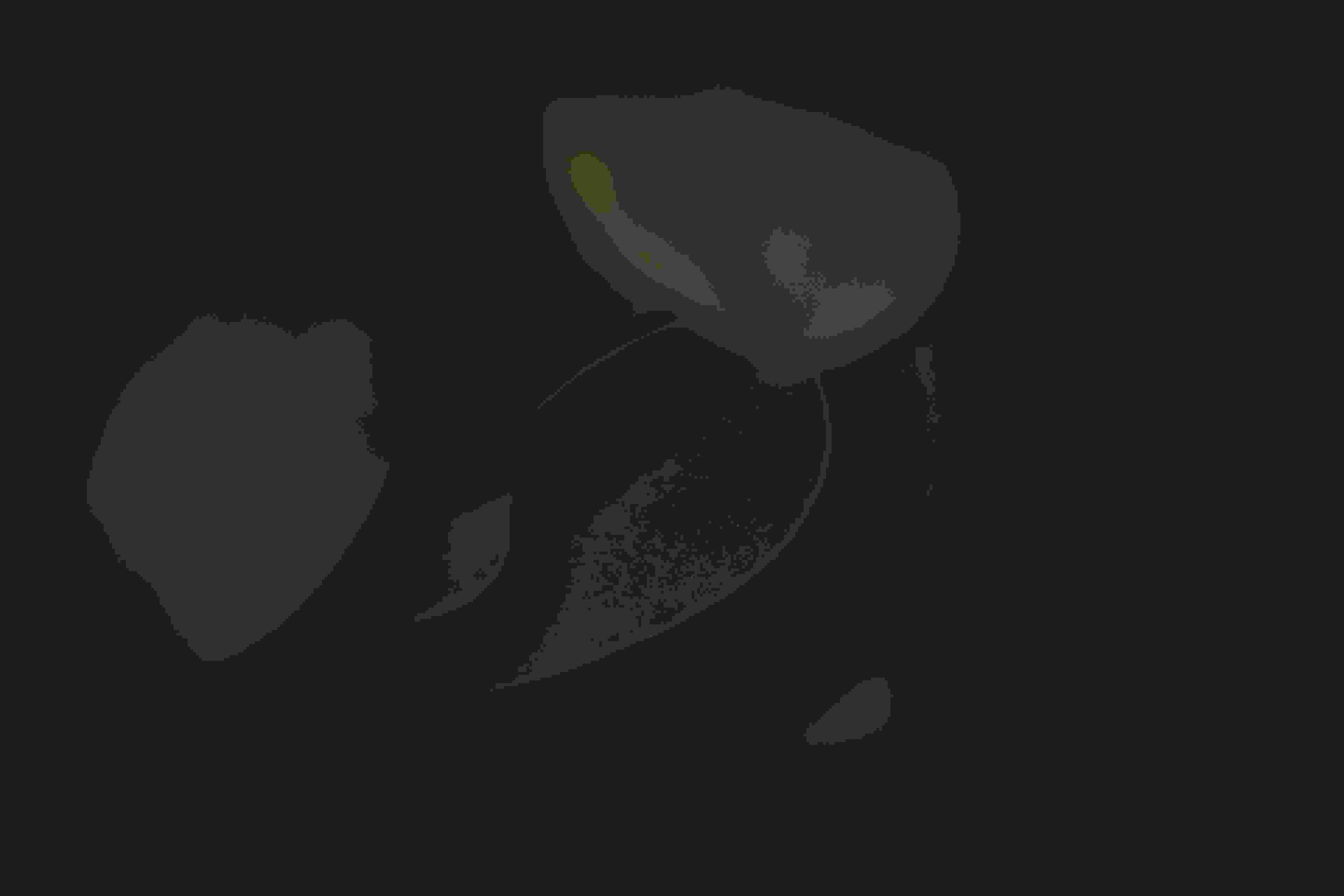 Image de couverture de l'article de blog