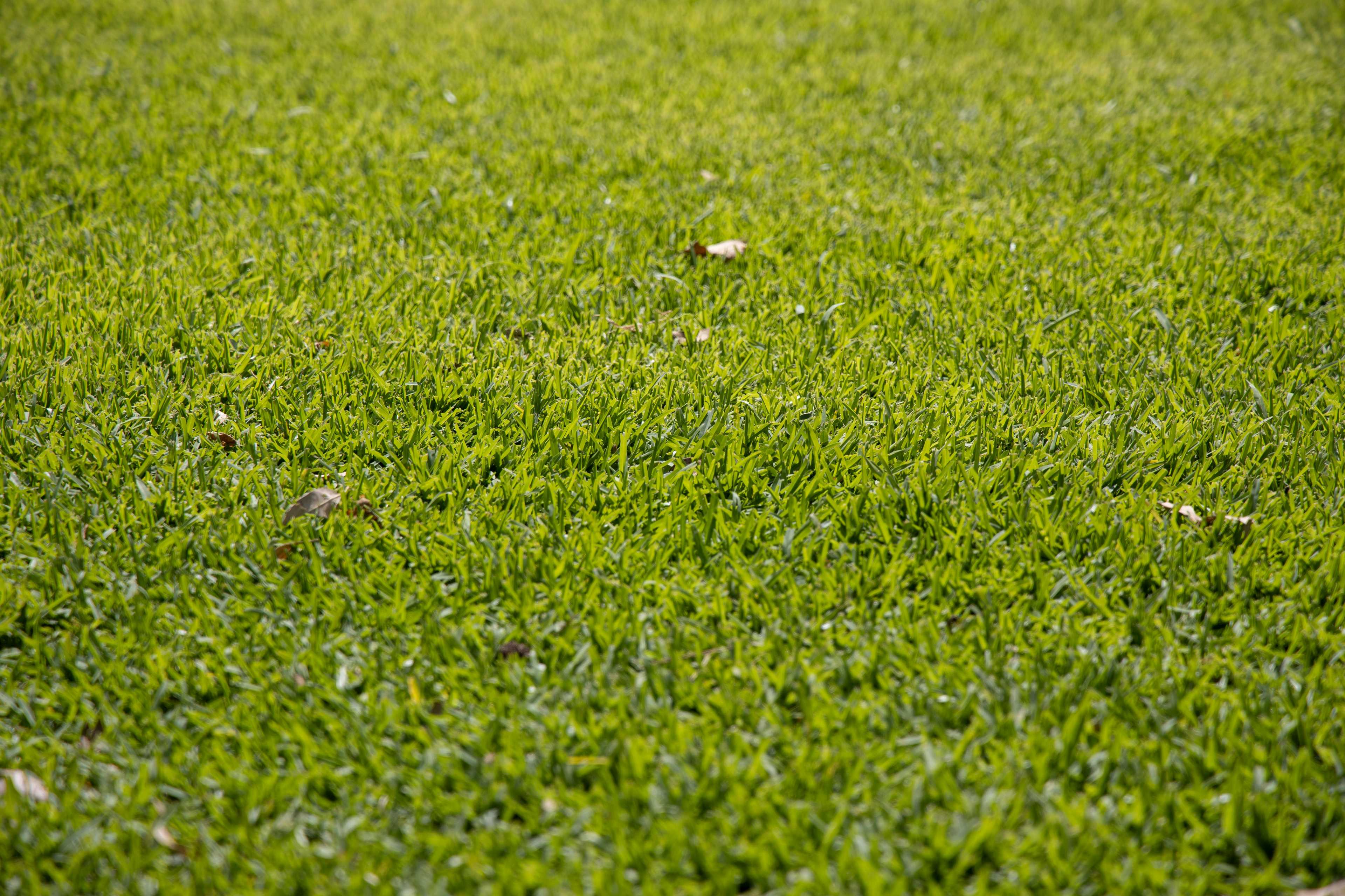 Application de mobilité douce pour trajet domicile-entreprise.jpeg