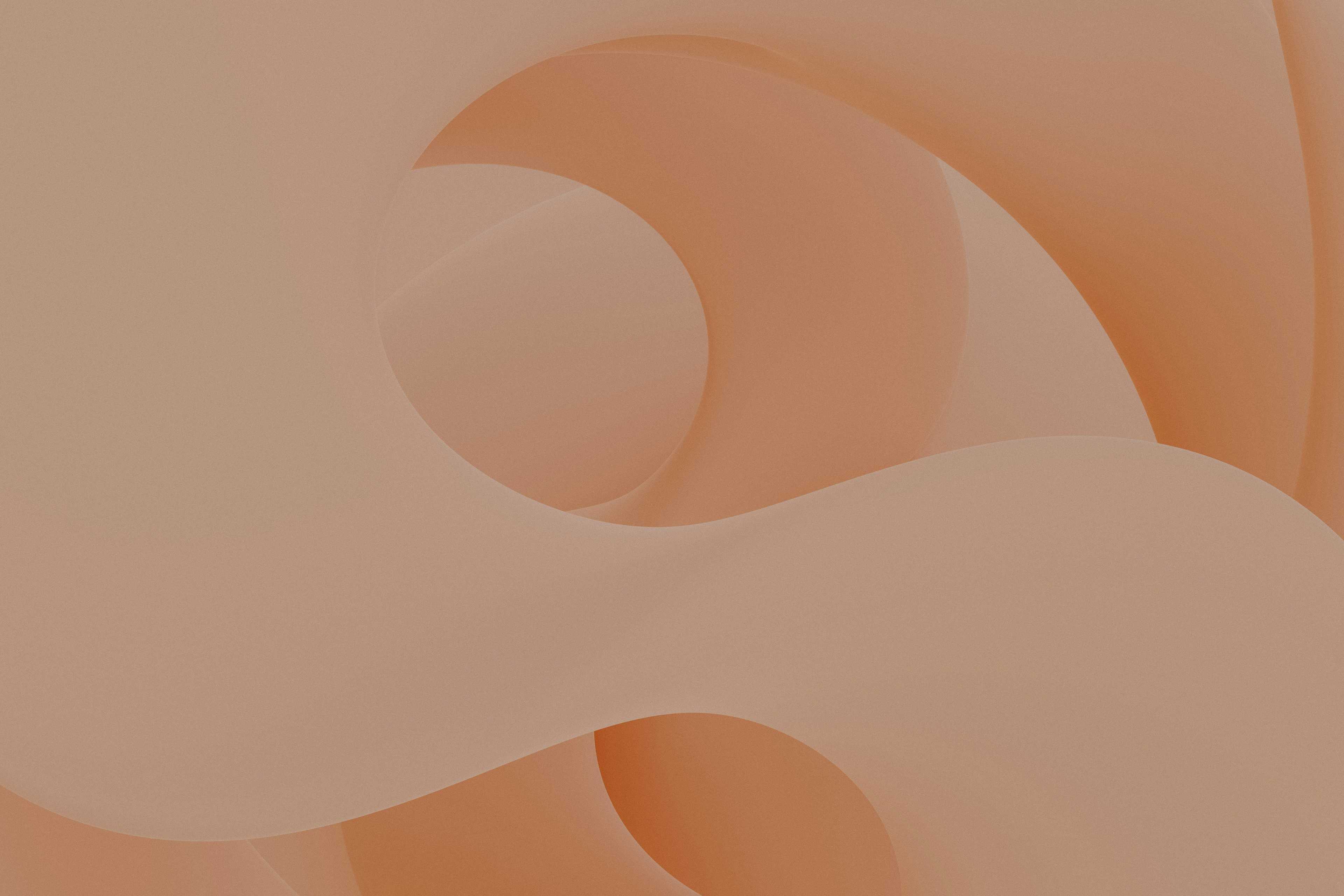 Image de couverture de l'article WordPress et Divi : Comment créer un site web professionnel sans compromettre la performance