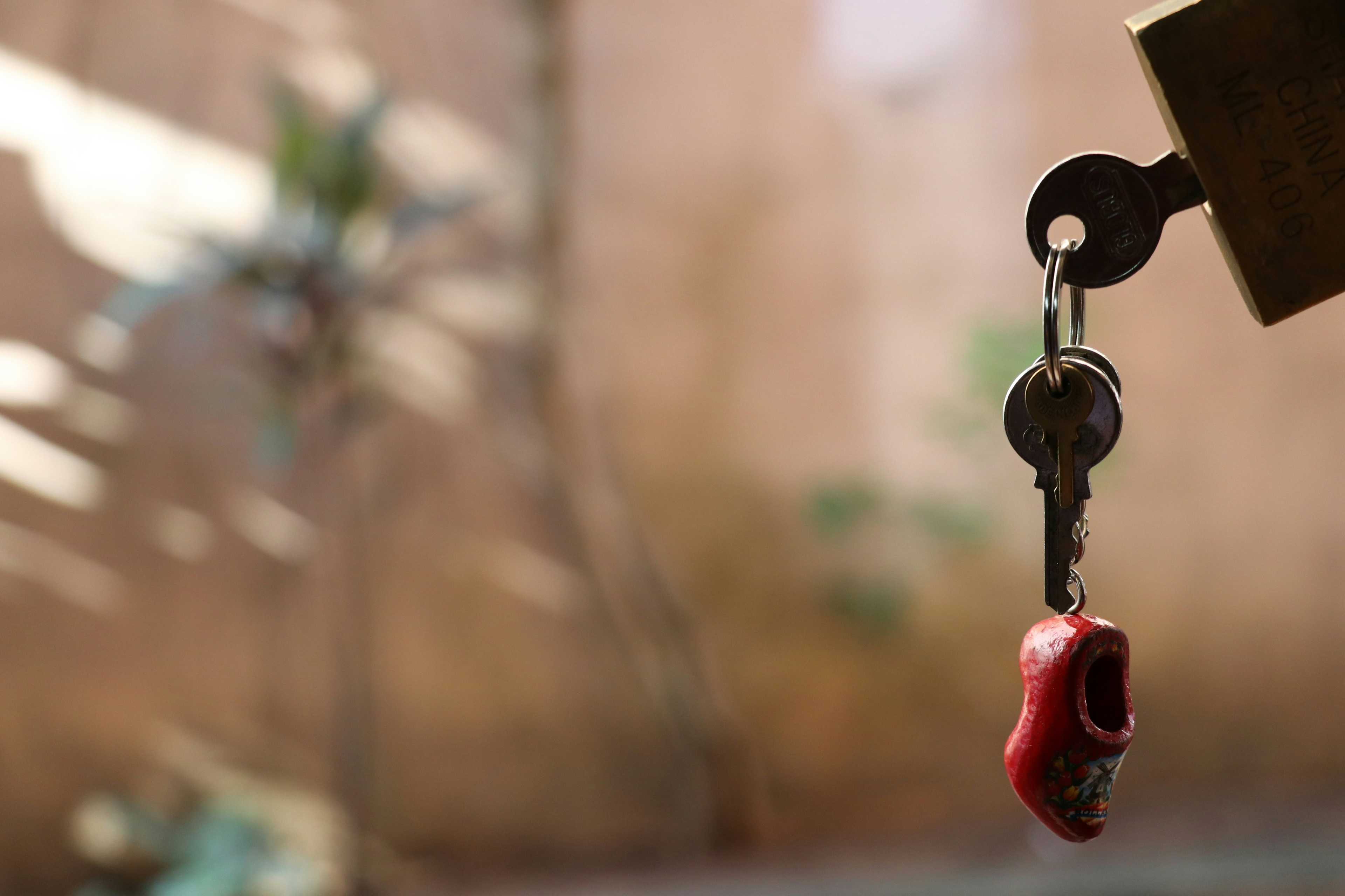 Image de couverture de l'article Compatibilité entre HBook et WPRentals : Solutions pour optimiser la gestion de vos plannings de réservation