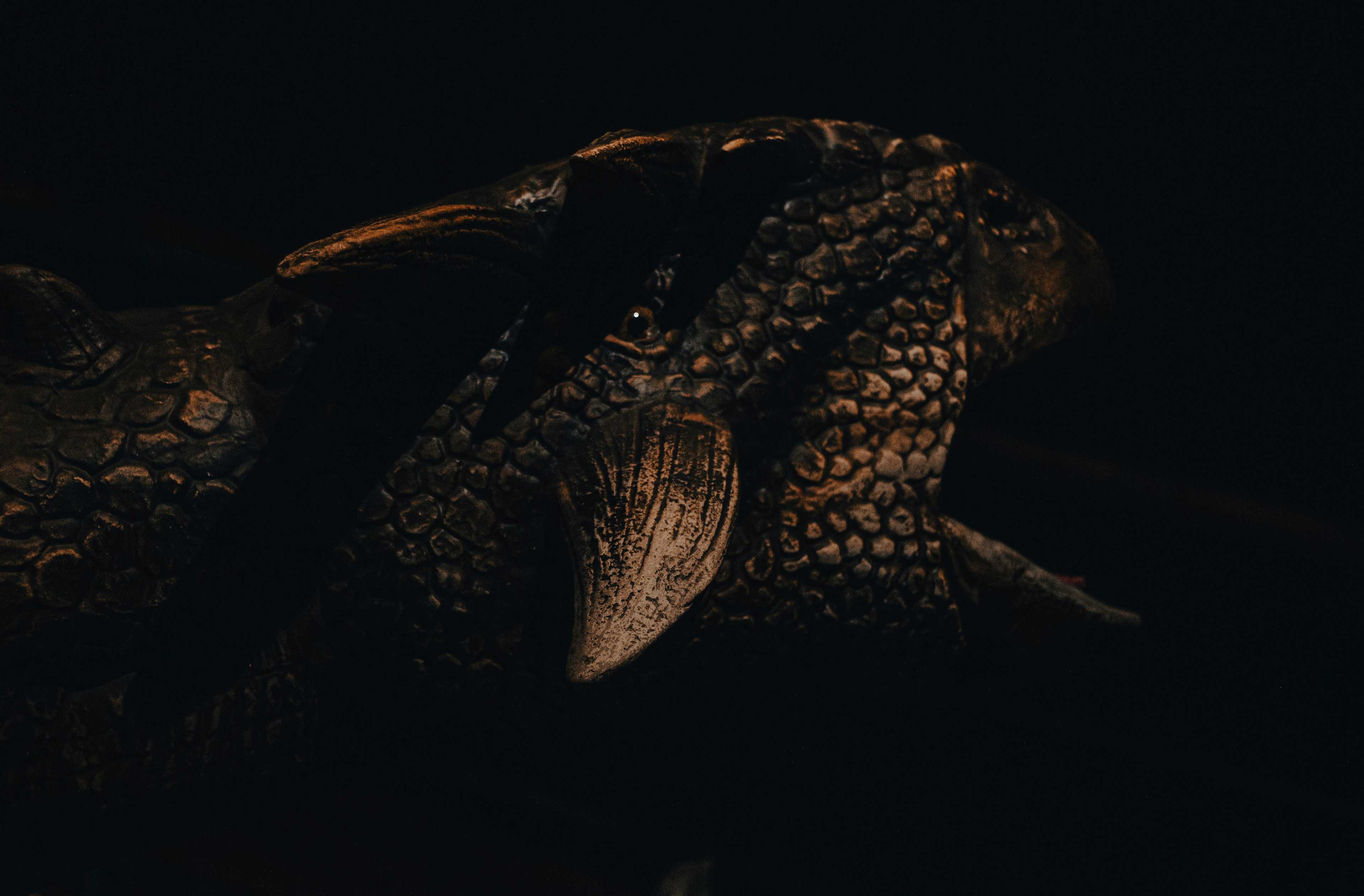 Image de couverture de l'article Automatisation de la génération audio avec Python et l'API ElevenLabs : Guide complet