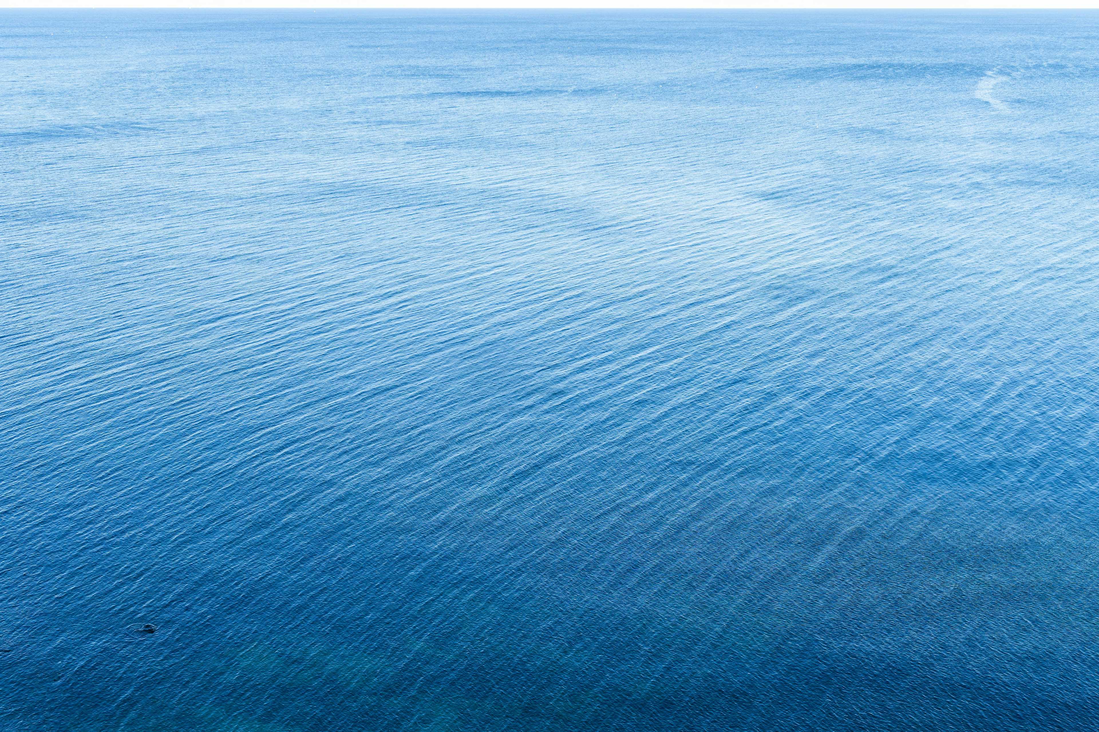 Image de couverture de l'article Optimiser votre boutique Prestashop : maintenance, SEO et SEA pour une performance durable