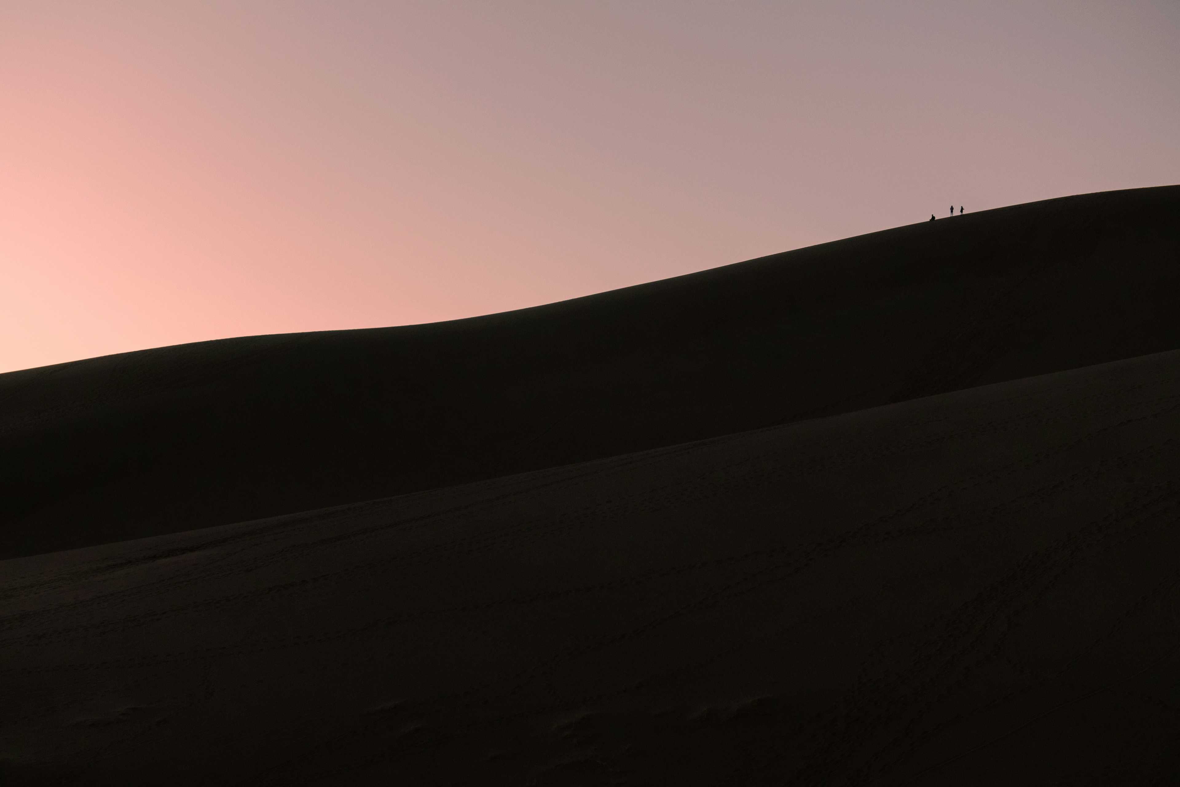 Image de couverture de l'article Svelte et GraphQL : Un duo puissant pour des applications web performantes