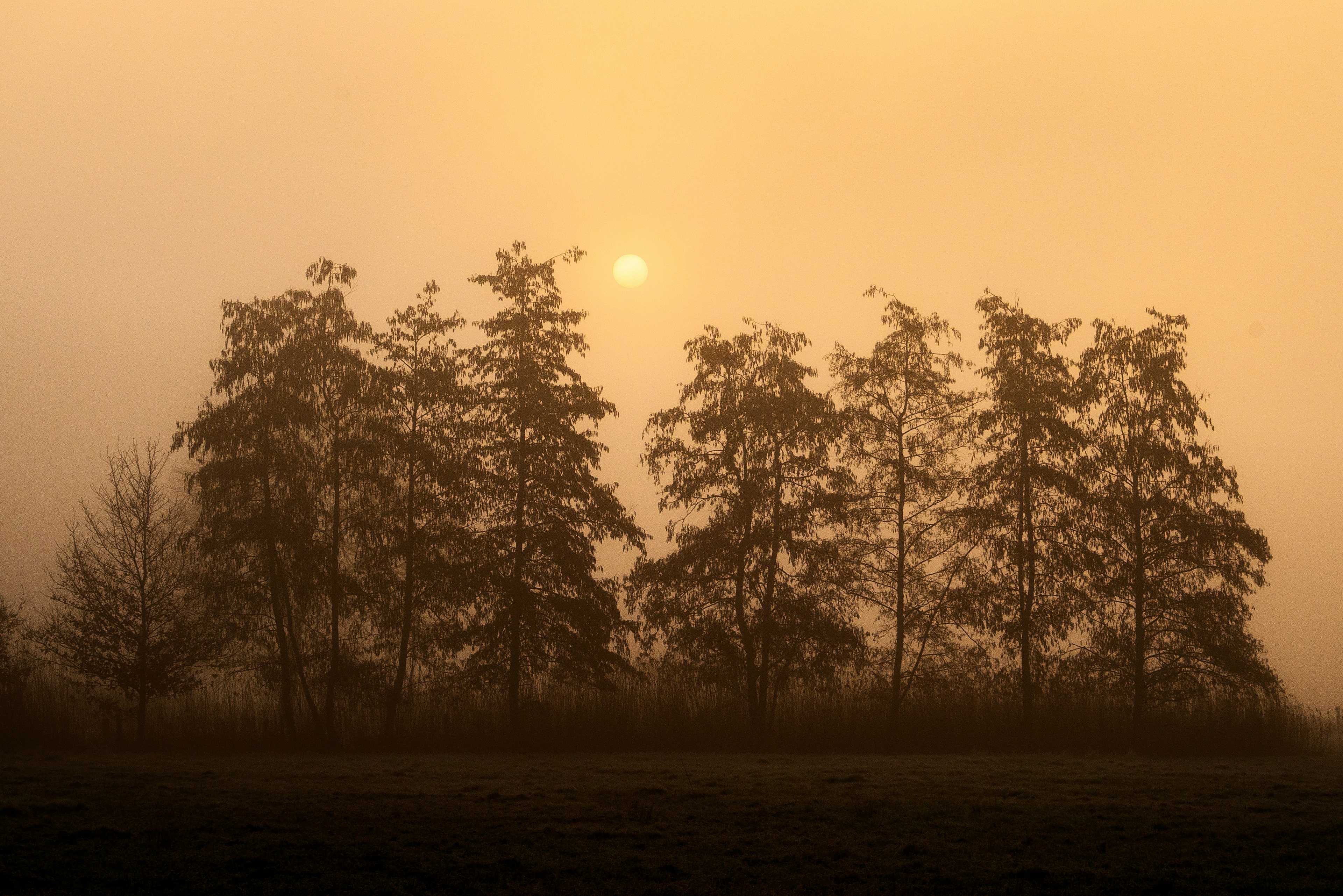 Image de couverture de l'article SEO pour auto-entrepreneurs : Comment optimiser votre visibilité en ligne sans expertise technique