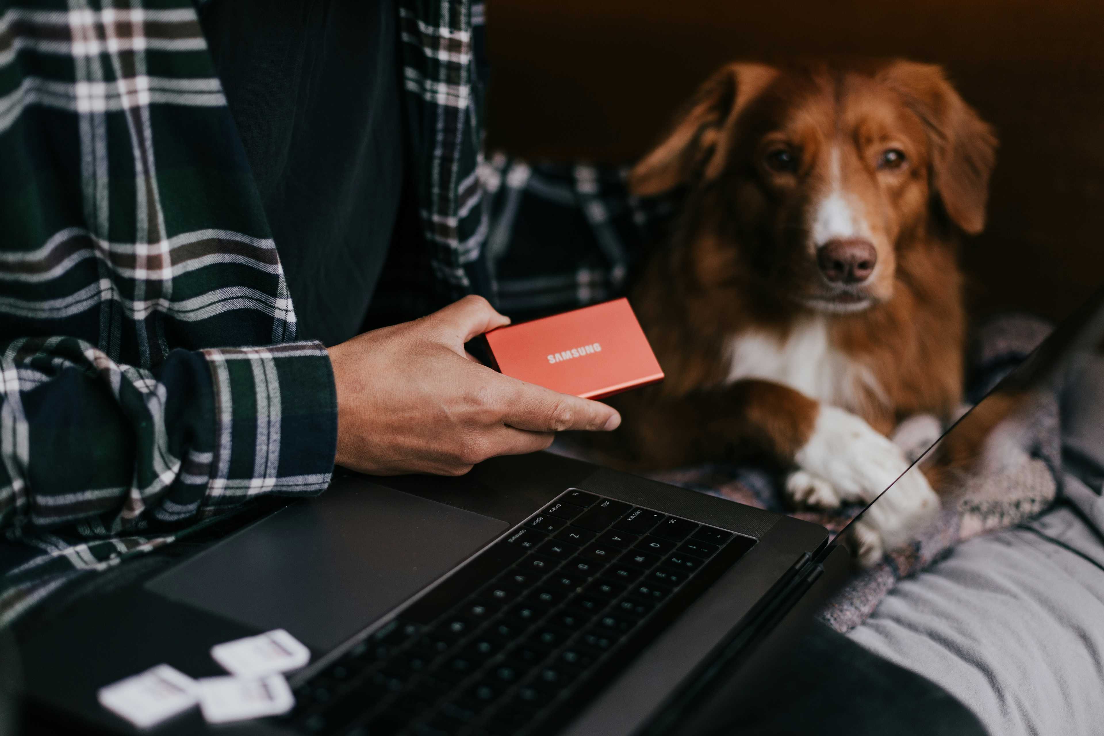 Image de couverture de l'article Résoudre les problèmes de paiement sur WordPress avec le thème ListingPro : Guide expert