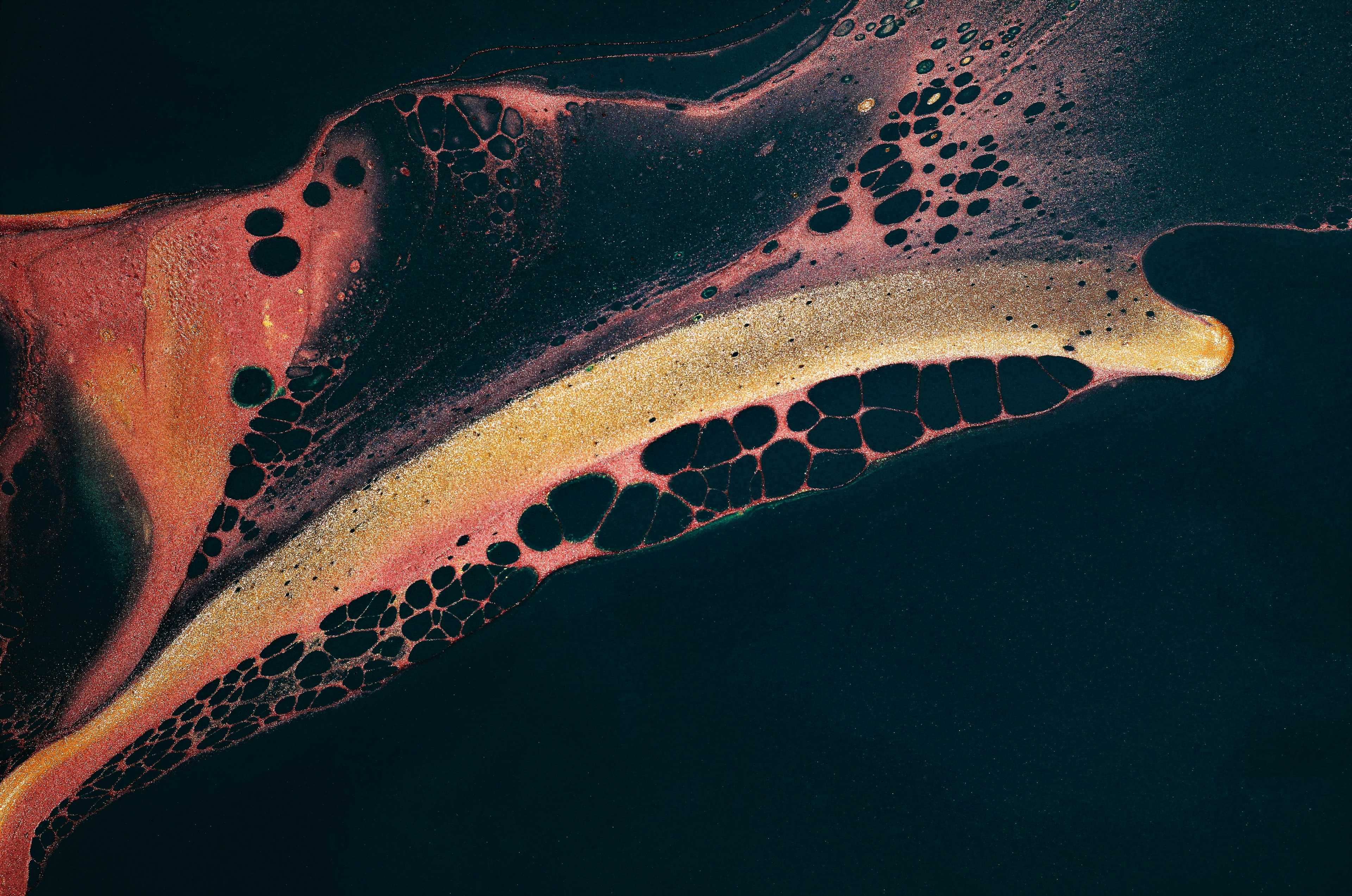 Image de couverture de l'article Créer une plateforme de biolinks personnalisés : tendances, défis et solutions techniques