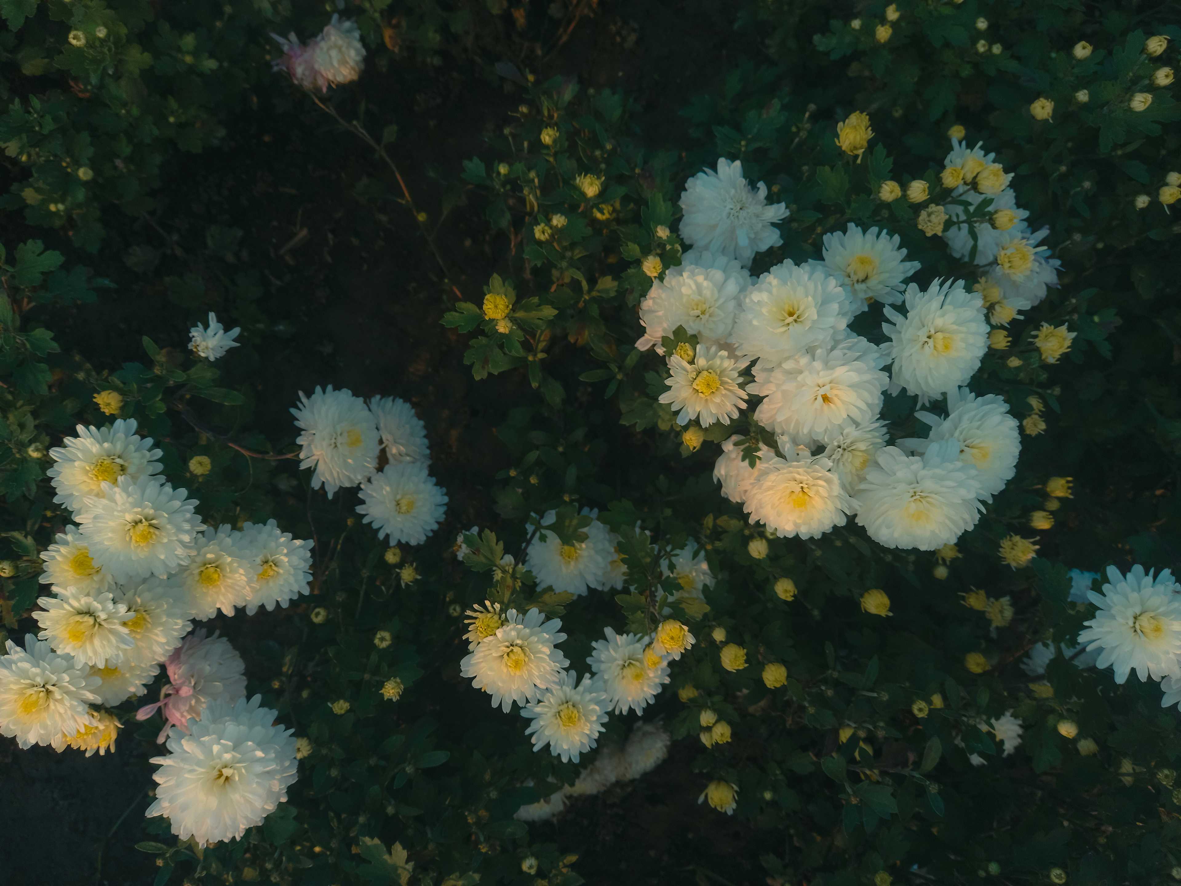 Image de couverture de l'article Automatisation documentaire : Comment transformer vos fichiers Excel en PDF dynamiques et interactifs